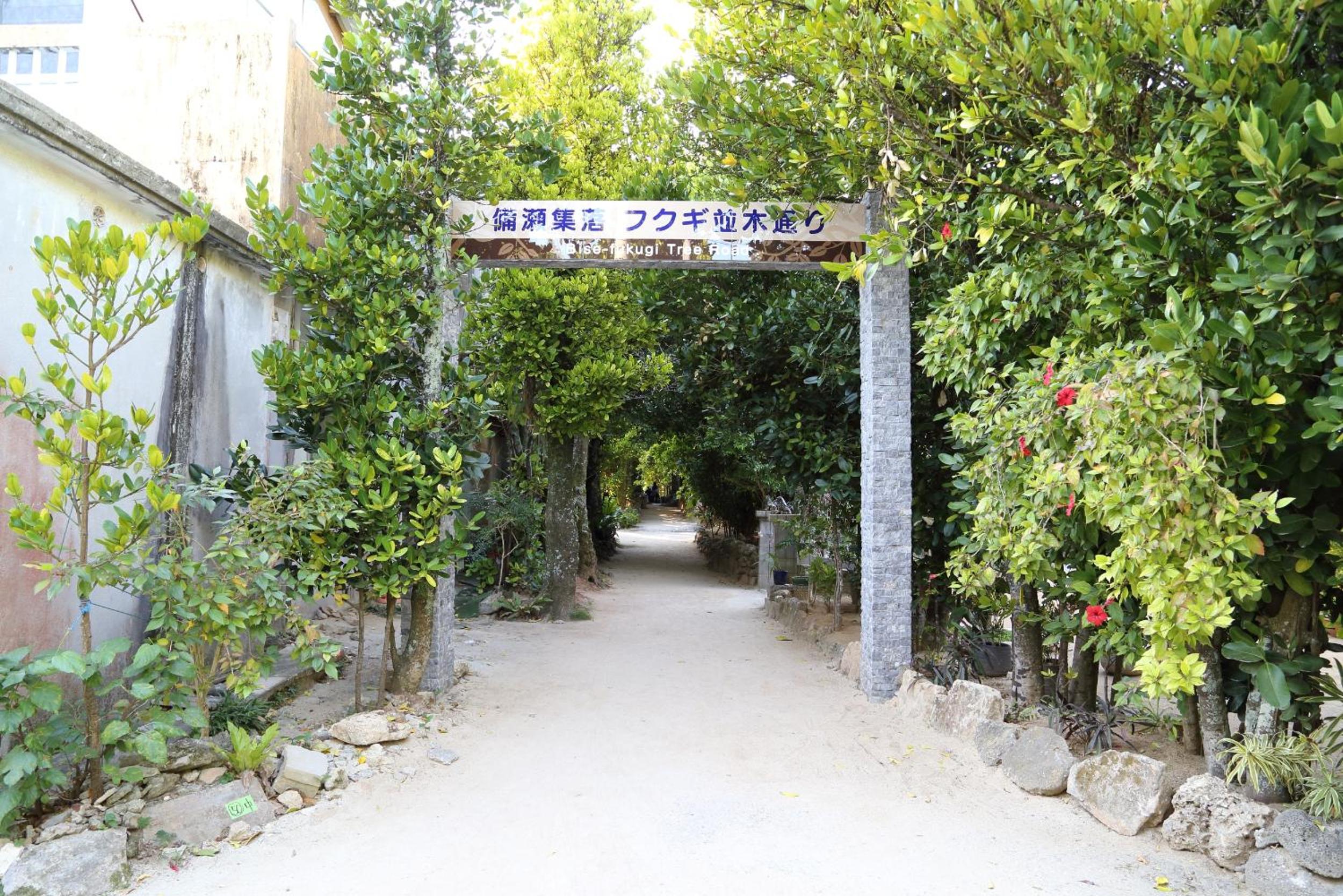 Tabinoteitaku Okinawa Bise HOMANN CONCEPT