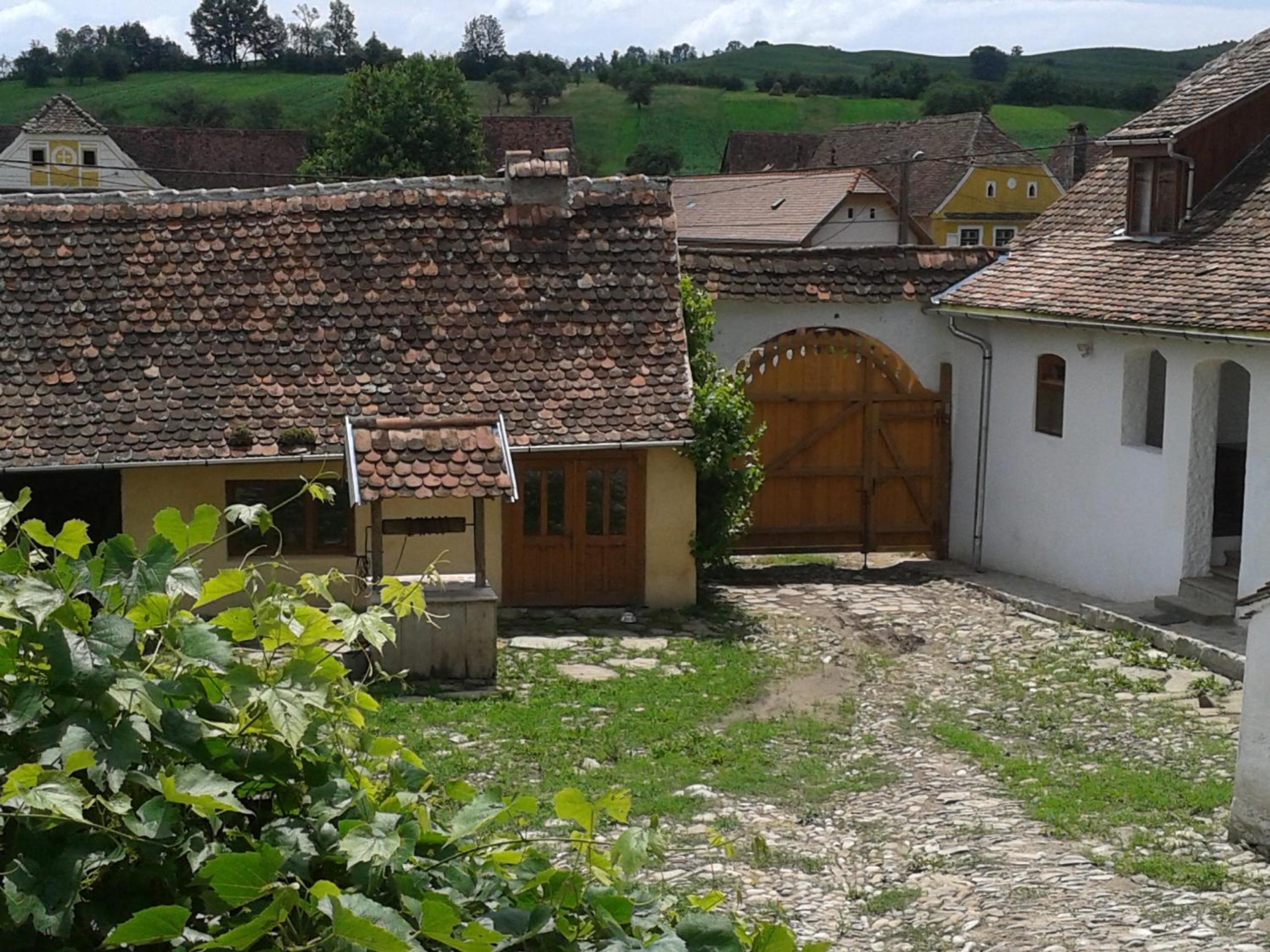 Photo 47