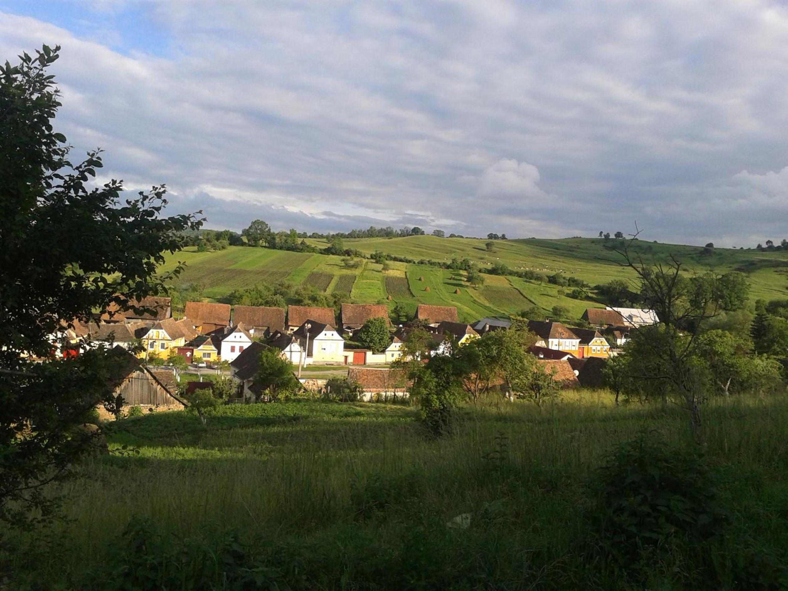 Photo 36