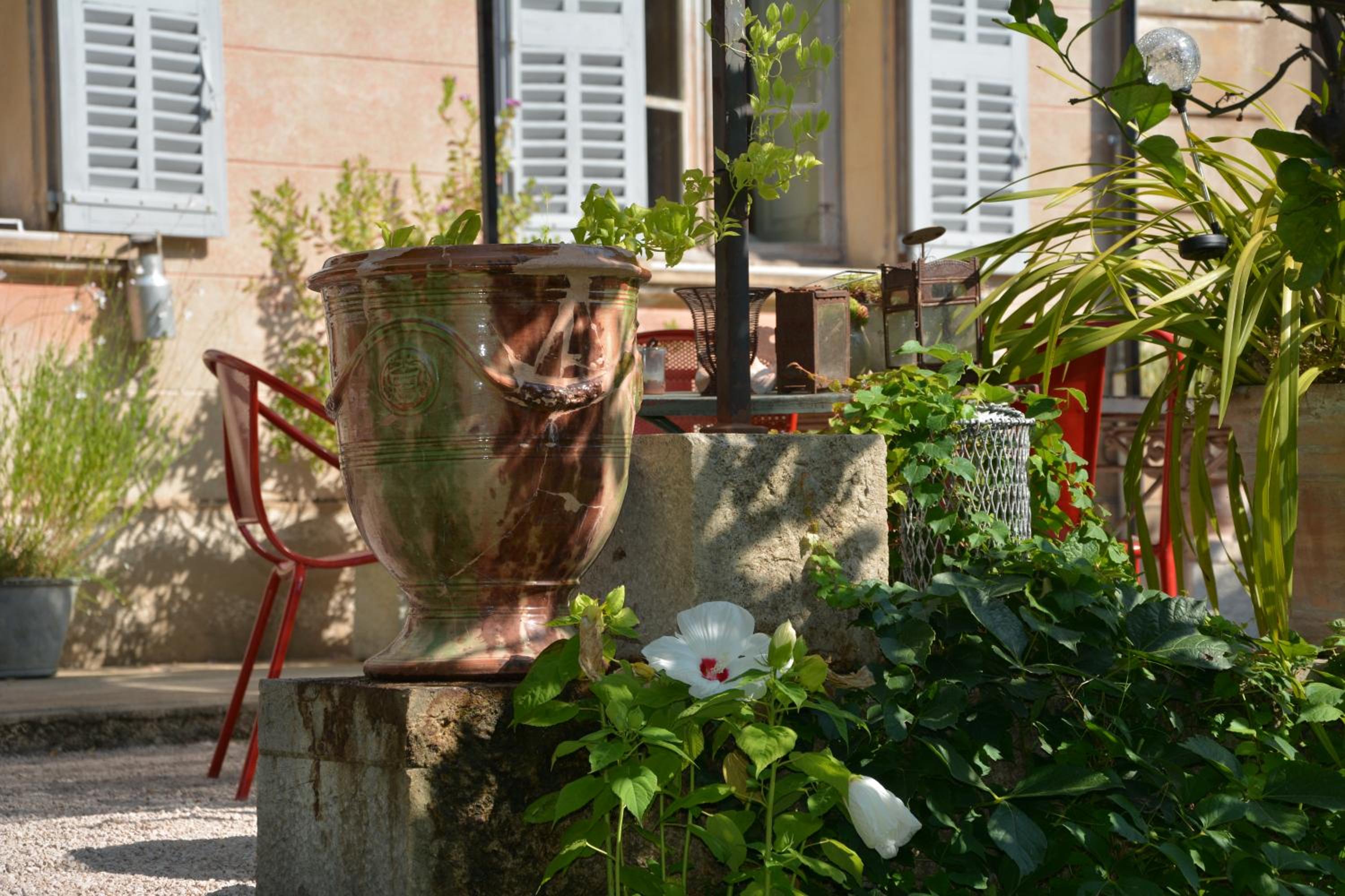 Les Passiflores view 3