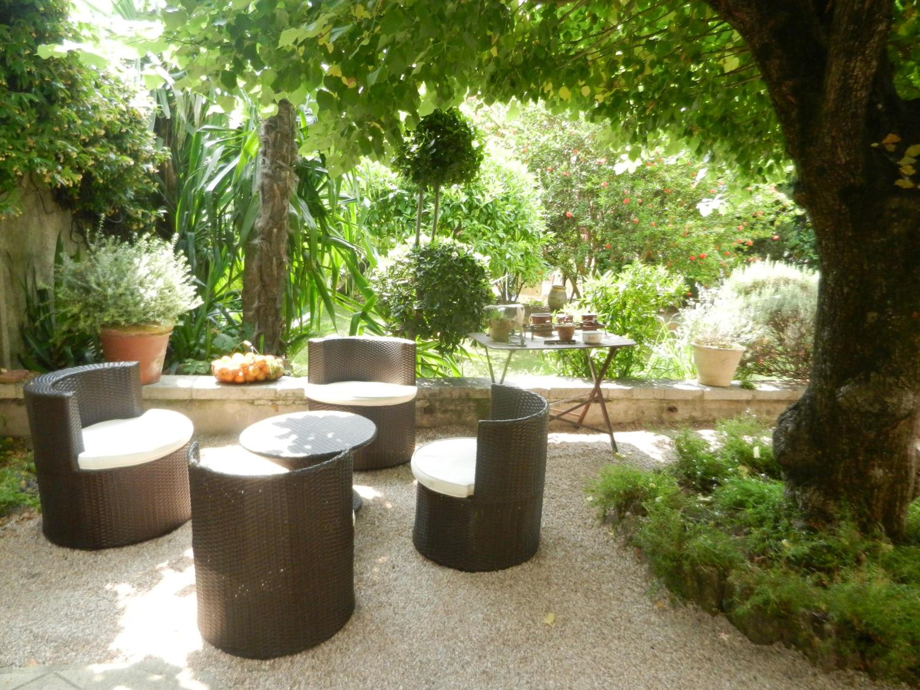 Les Passiflores view 4