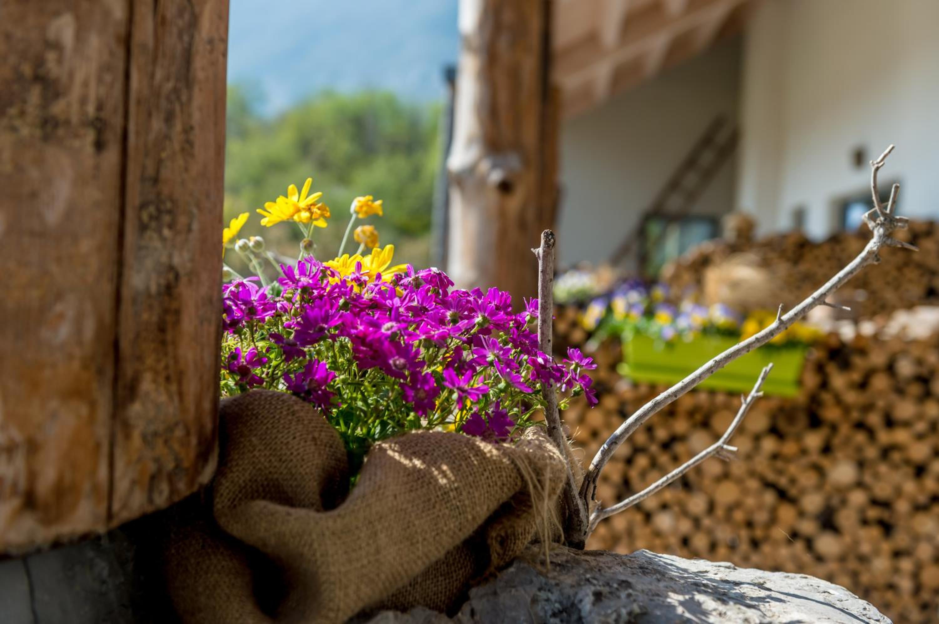 Photo 51