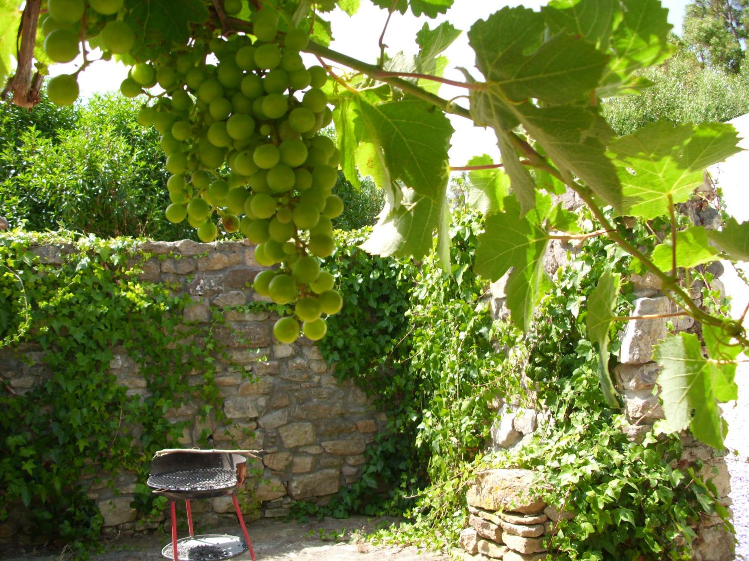 Photo 48