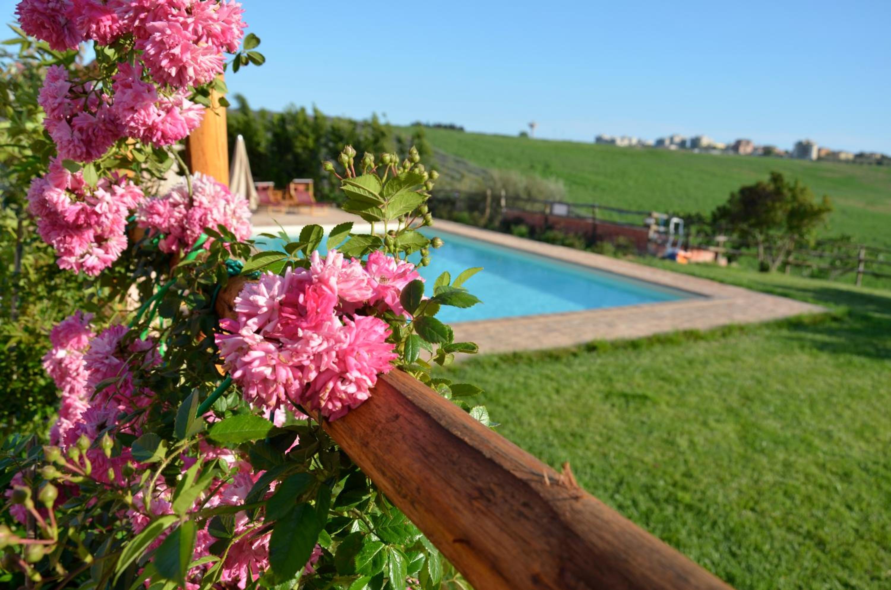 Agriturismo Tenuta Saracone a pochi minuti da Capalbio