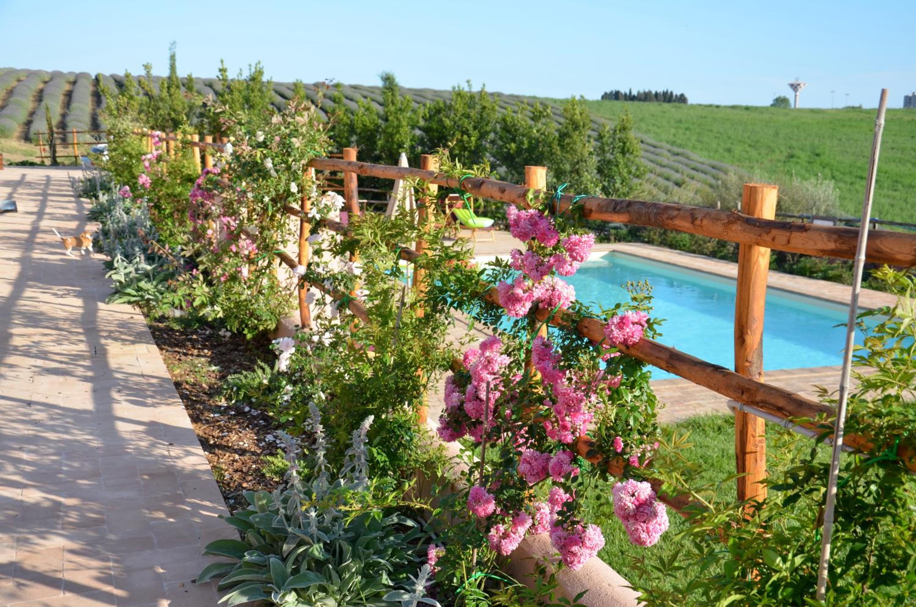 Agriturismo Tenuta Saracone a pochi minuti da Capalbio