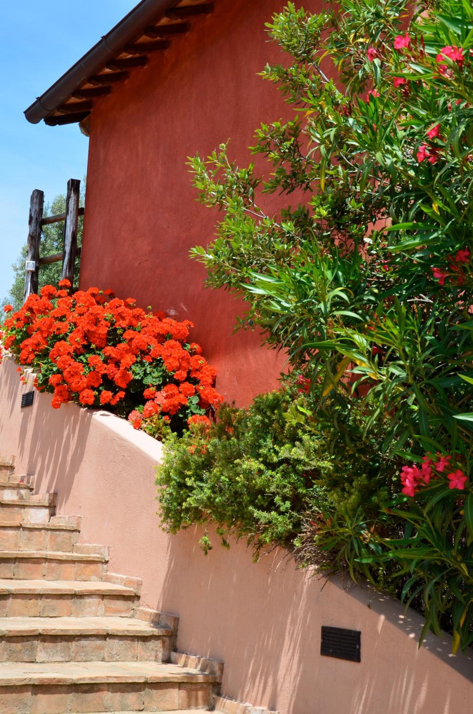Agriturismo Tenuta Saracone a pochi minuti da Capalbio