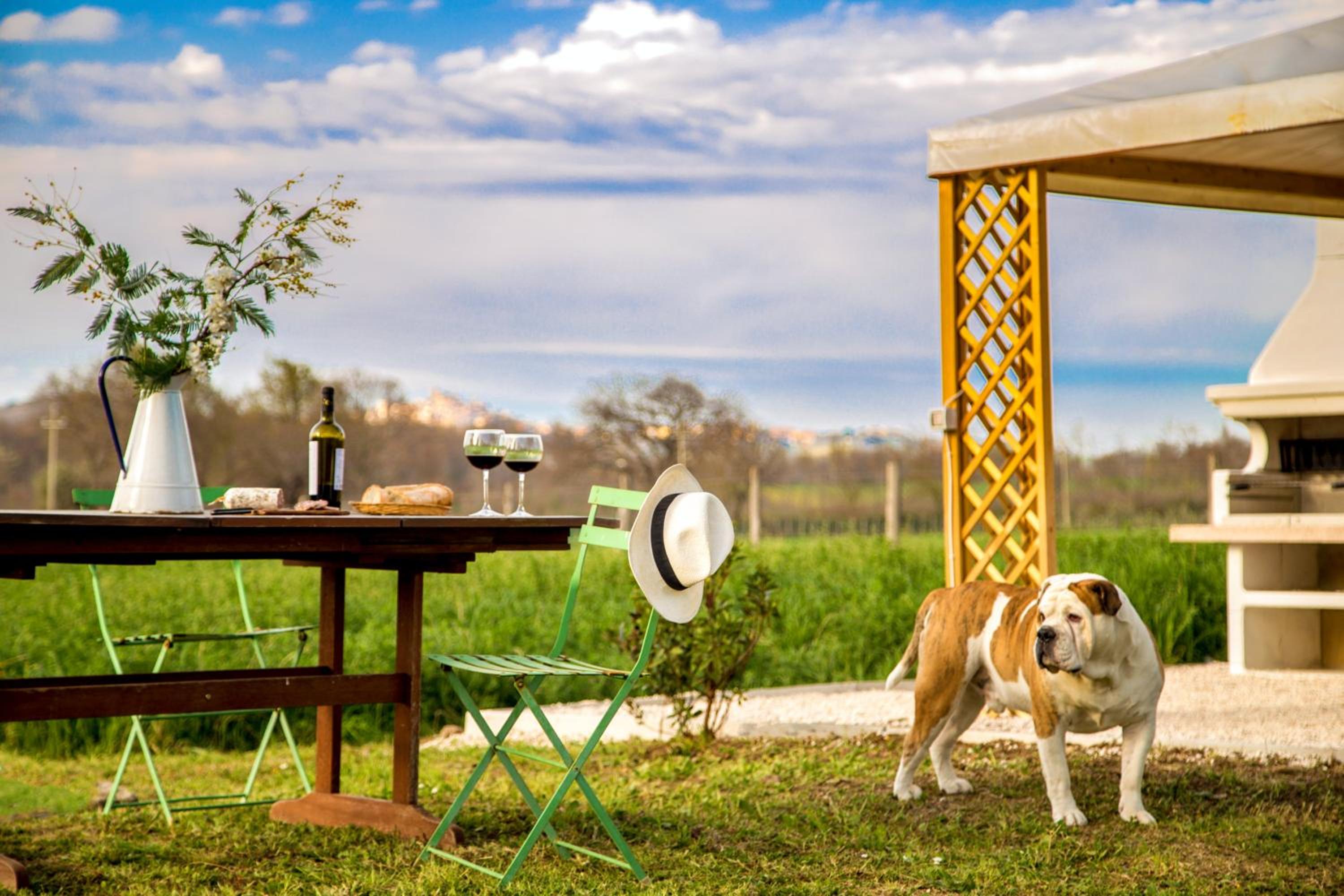 B&B Borgo Vera