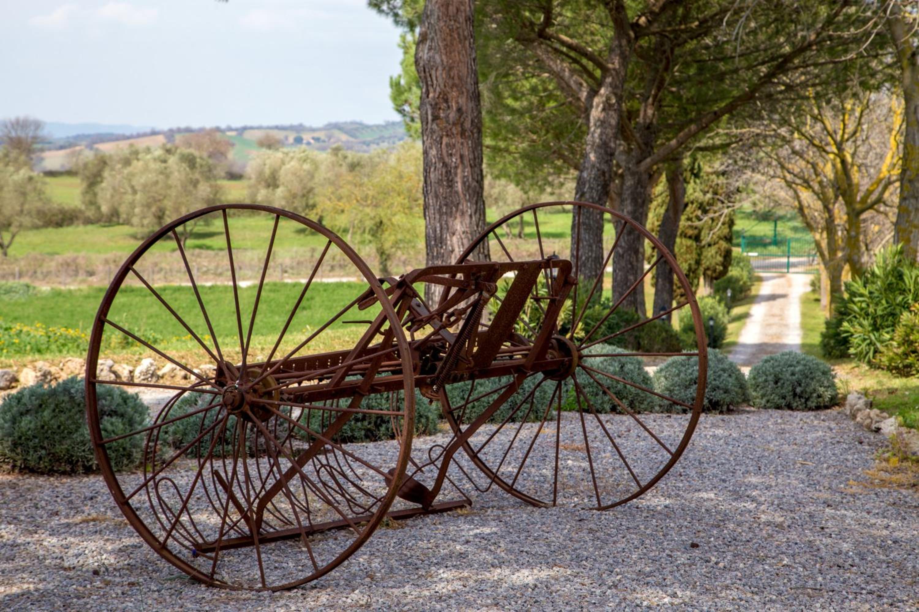 B&B Borgo Vera