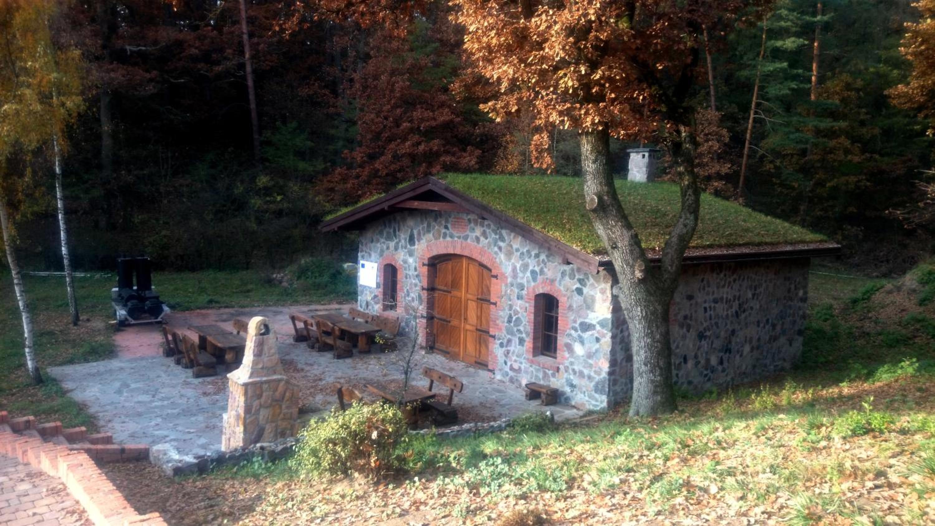 Photo 13