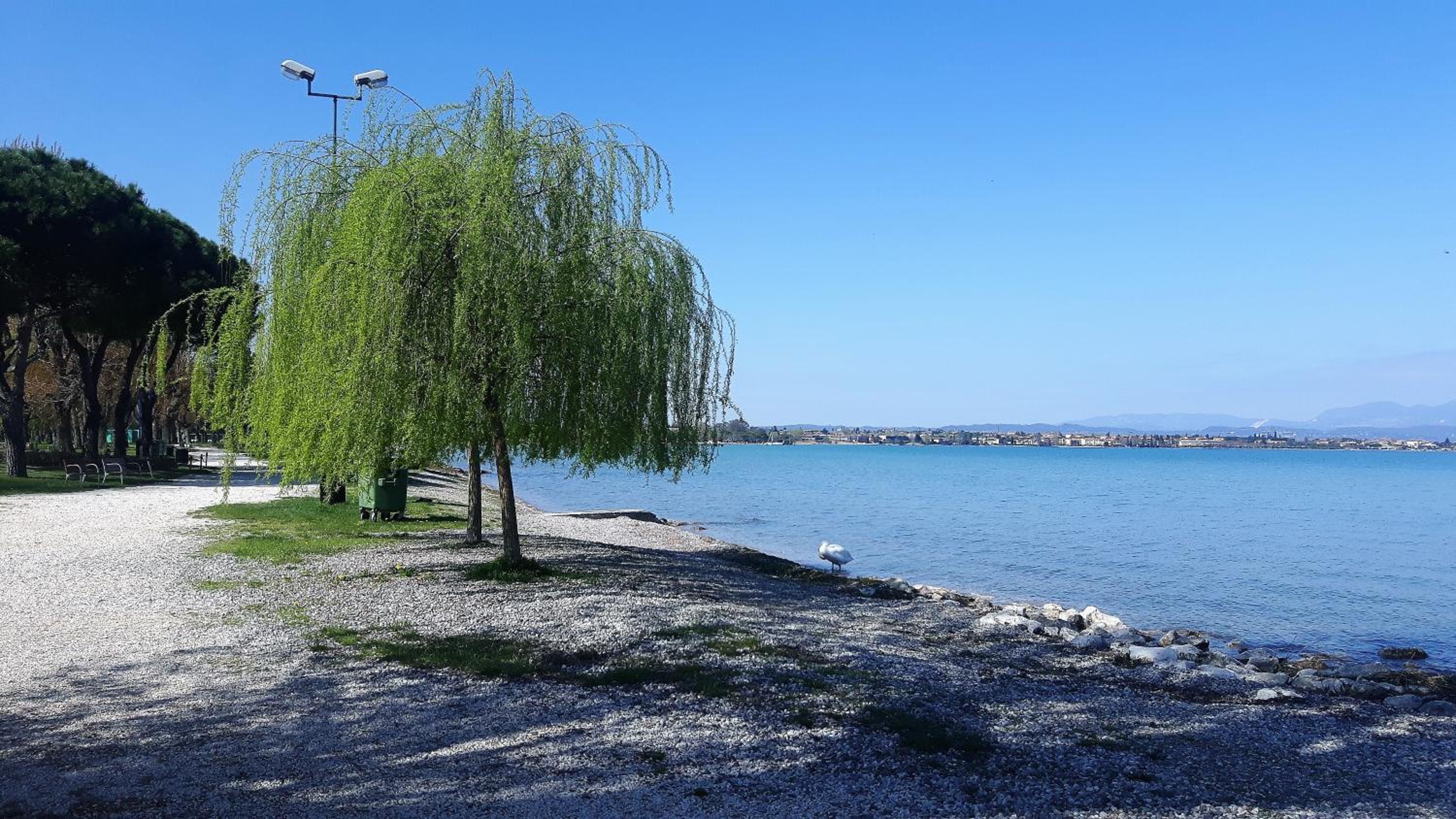 Photo 41