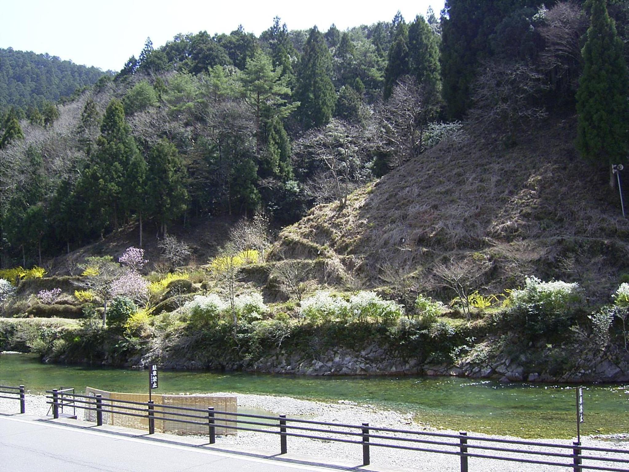 Photo 35