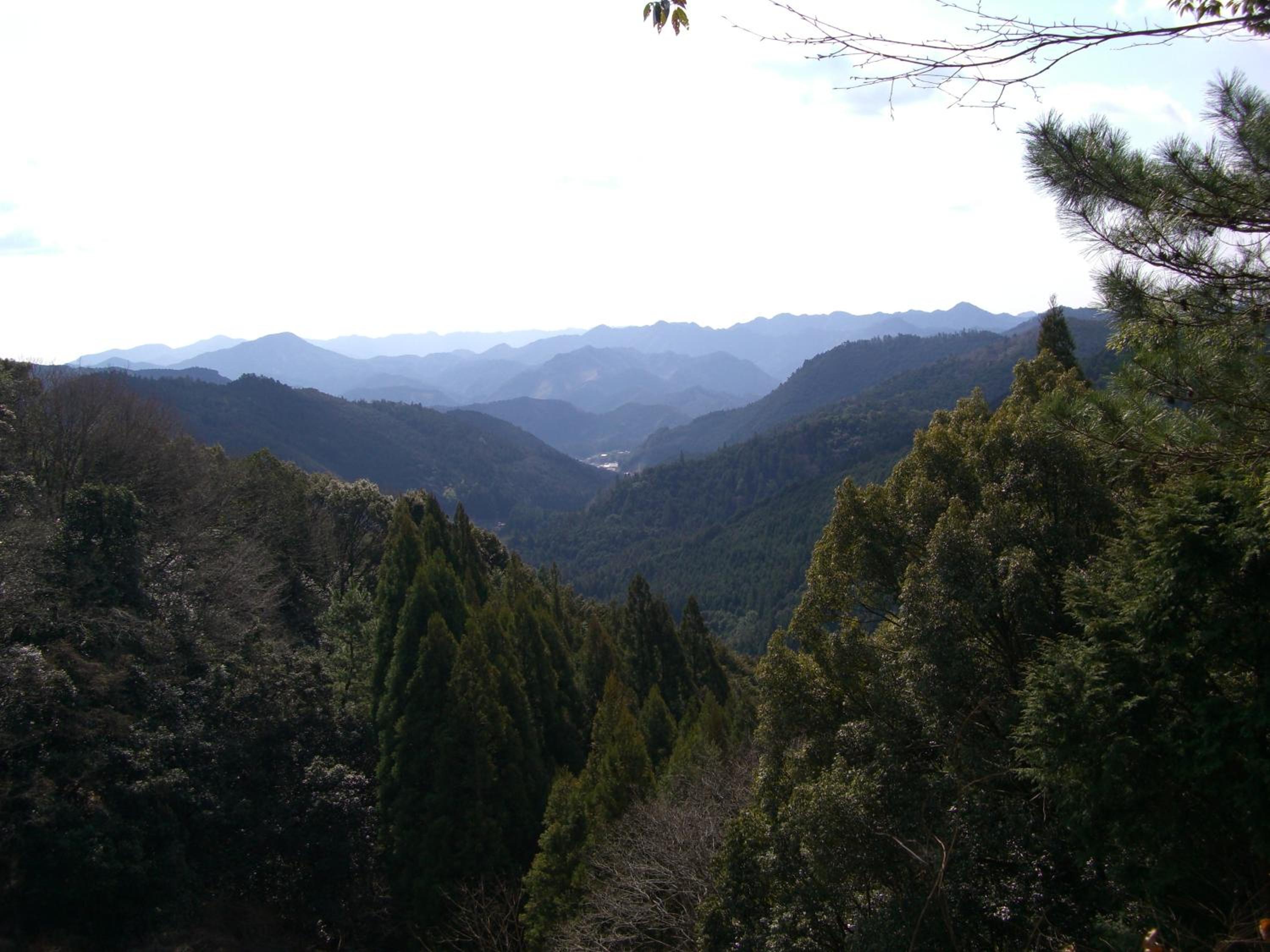 Photo 28