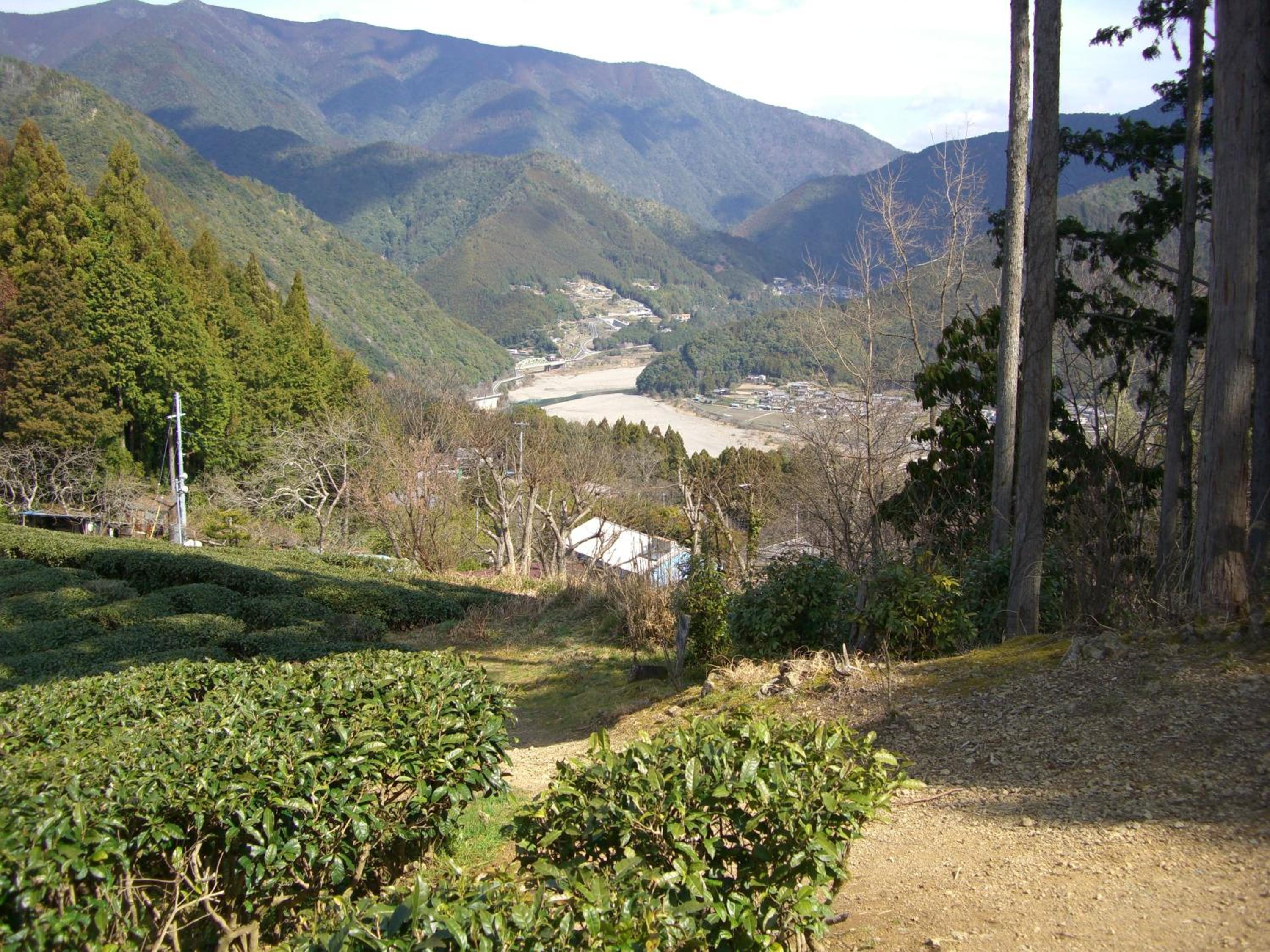 Photo 29