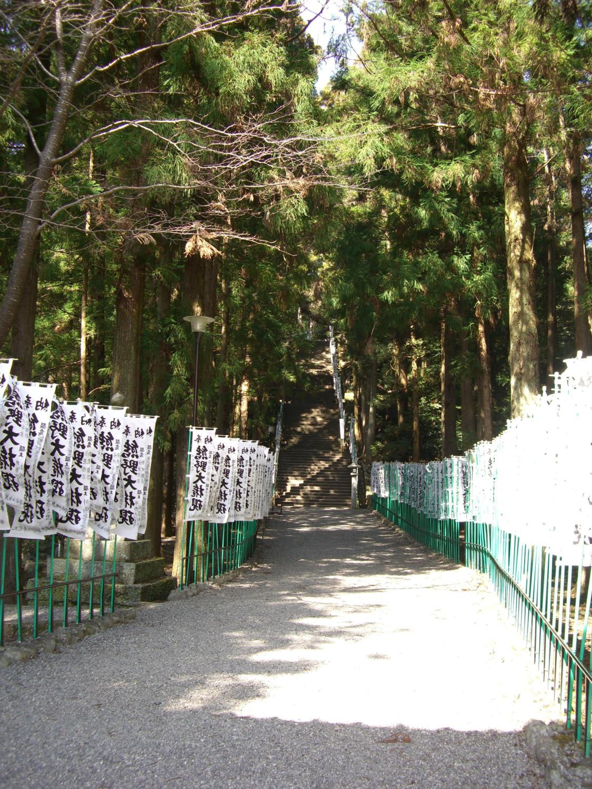 Photo 31