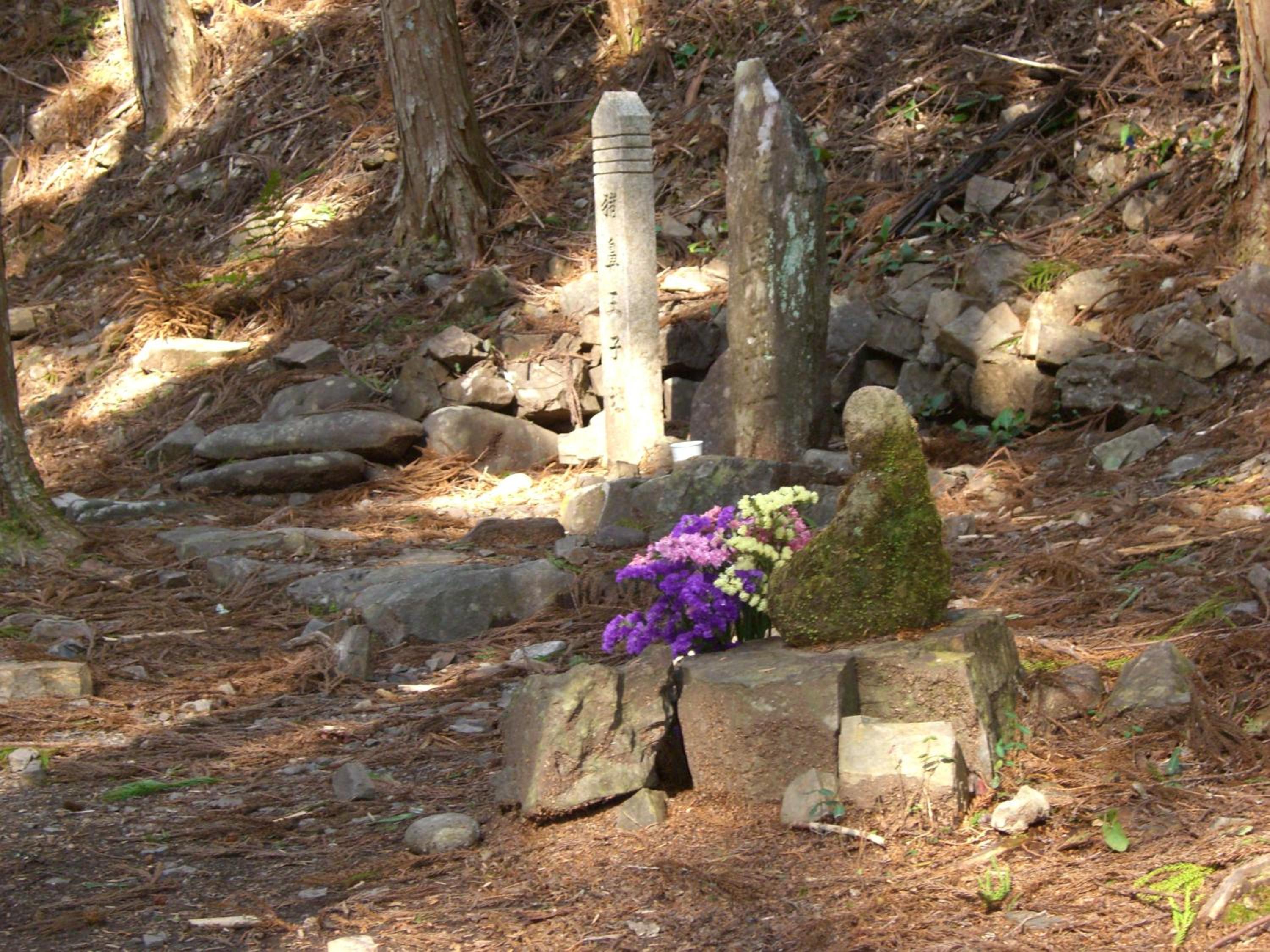 Photo 26