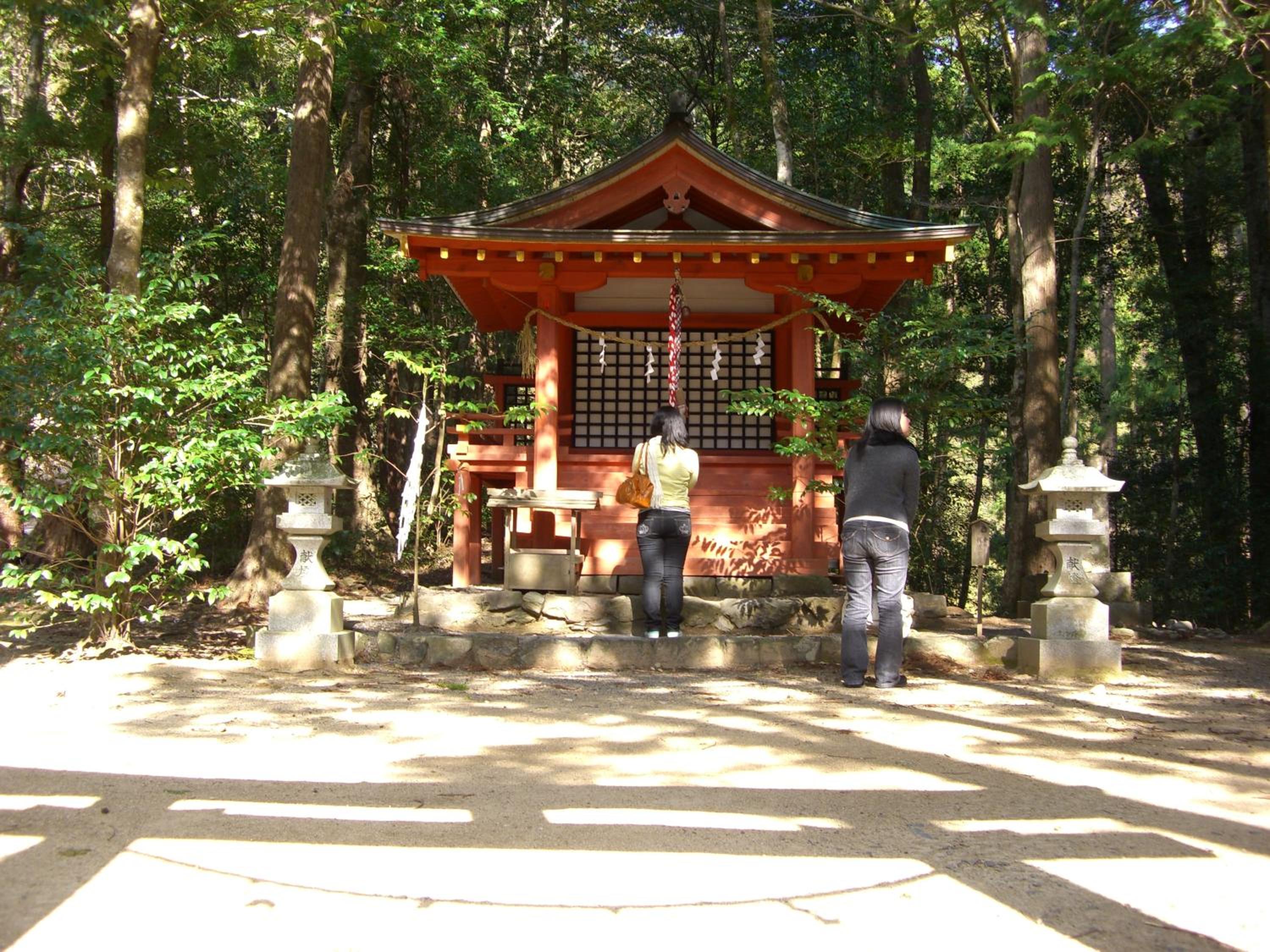 Photo 27