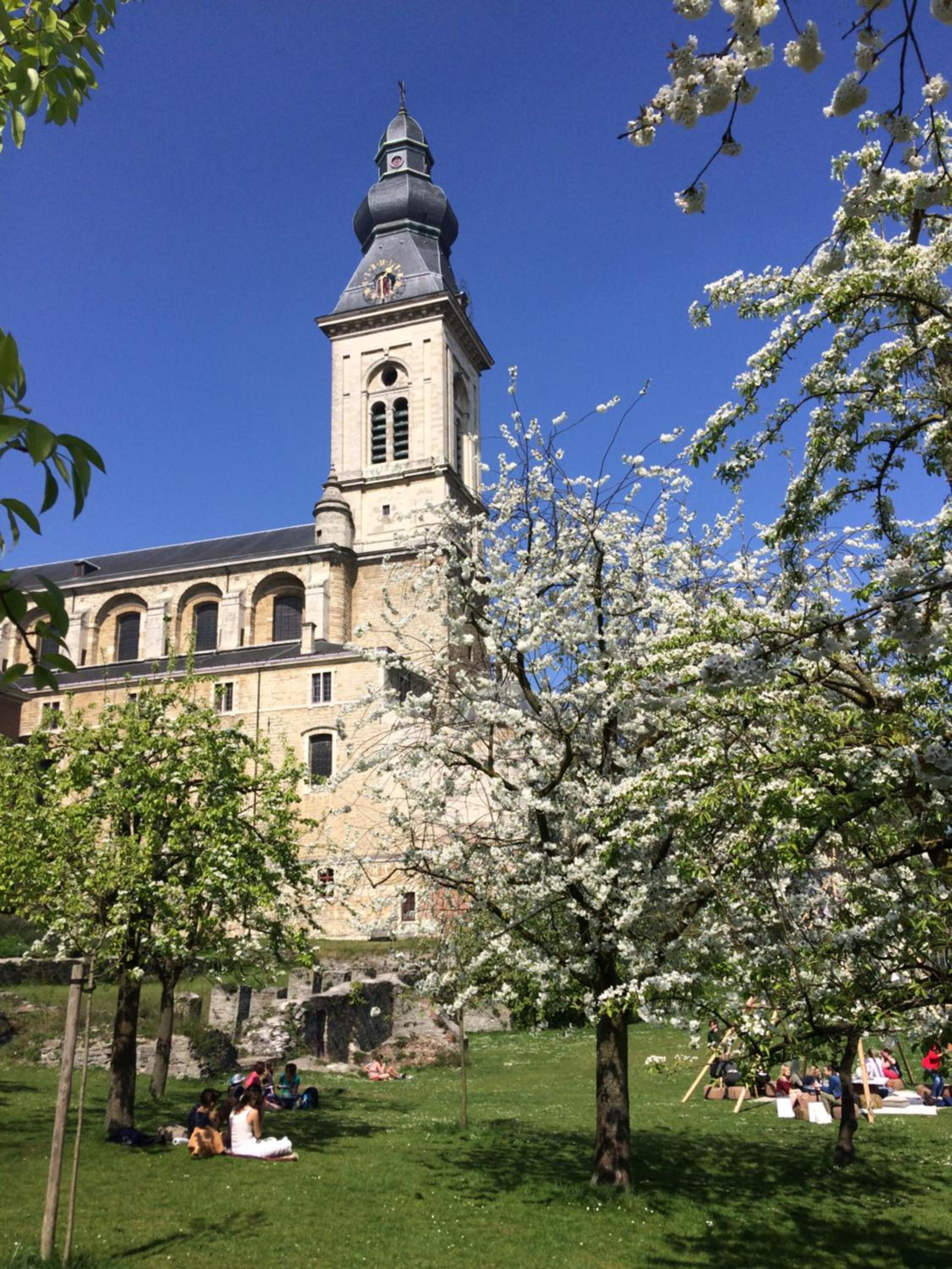 Photo 26