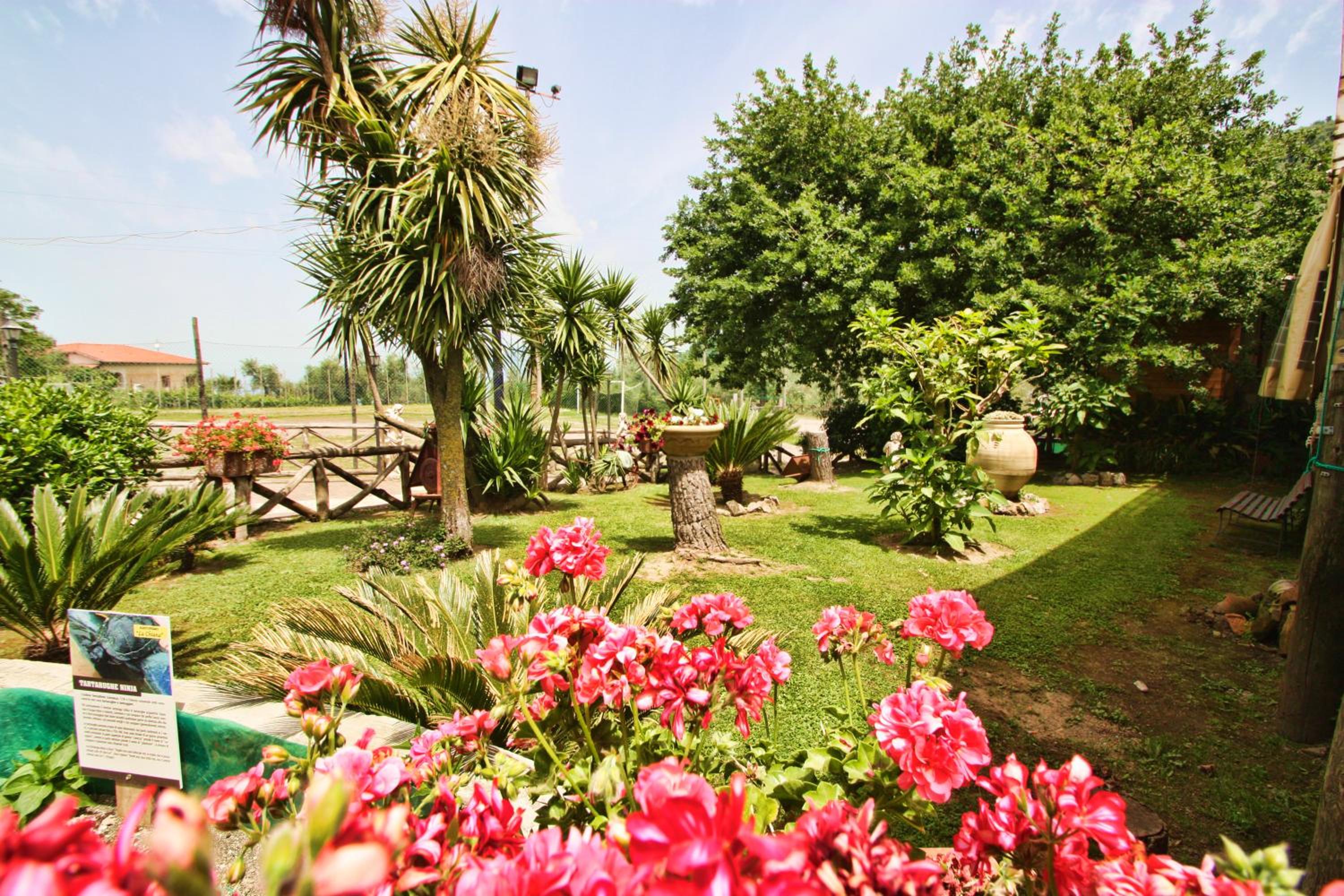 Agriturismo La Chiana view 4