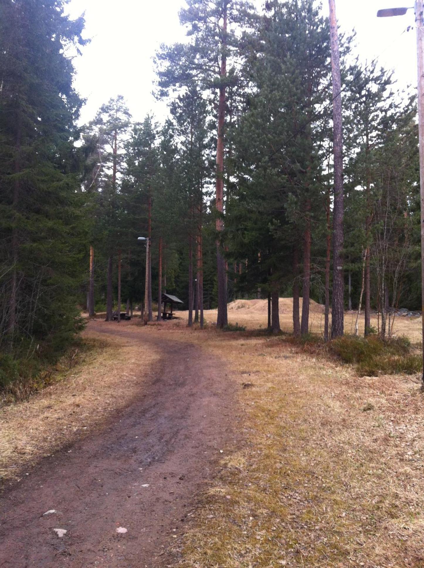 Photo 23