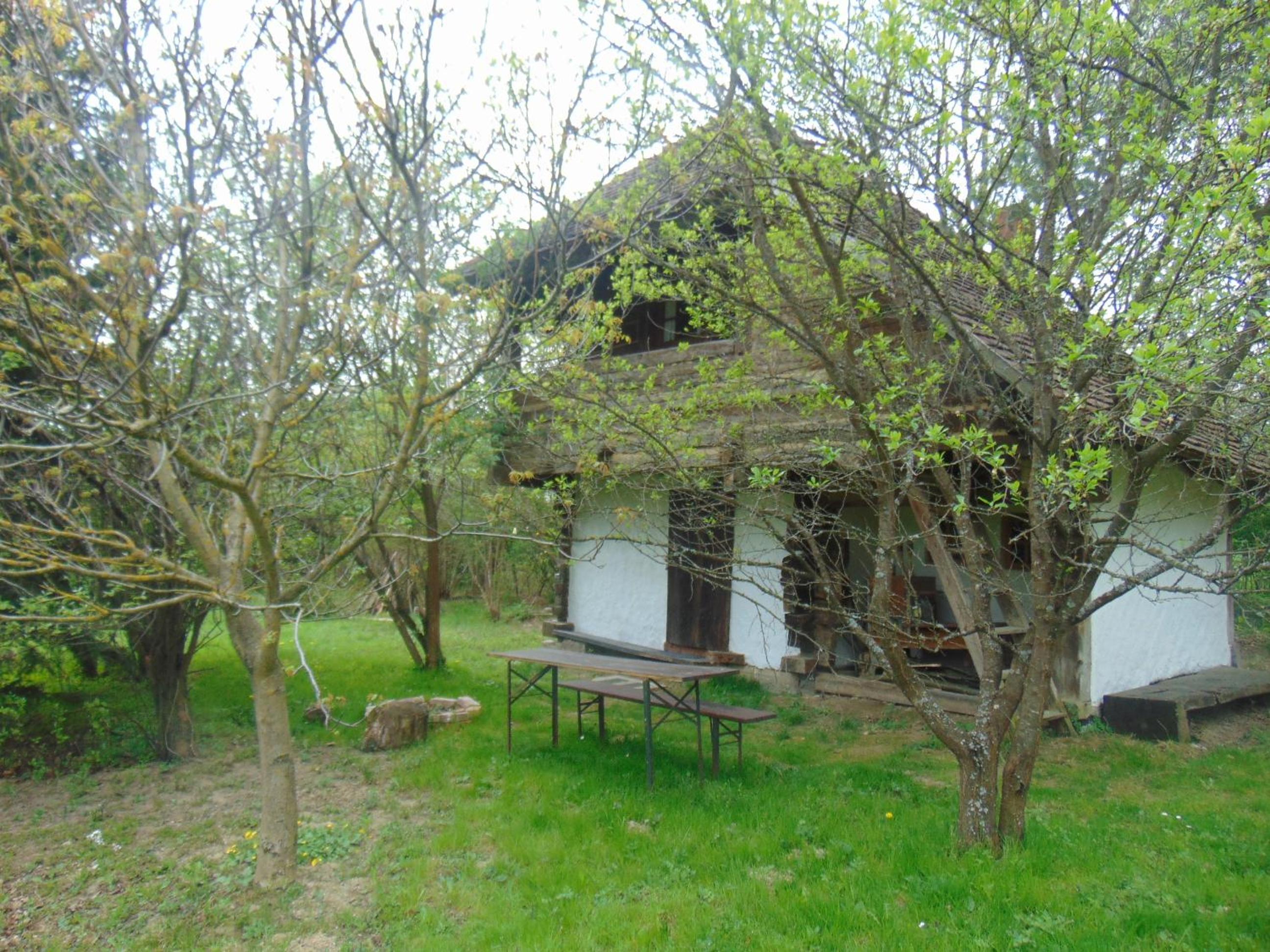 Photo 21