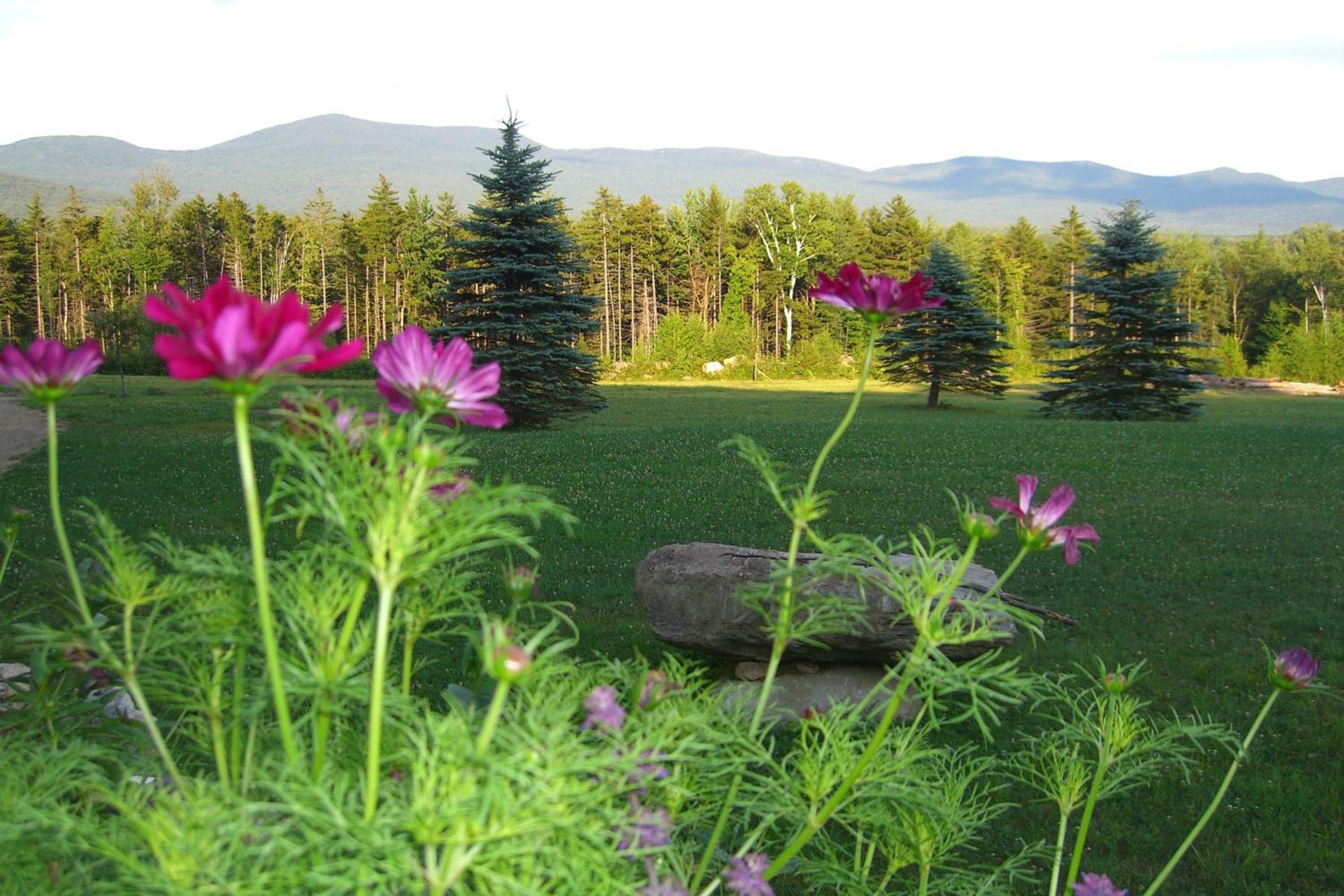 Robert Frost Mountain Cabins