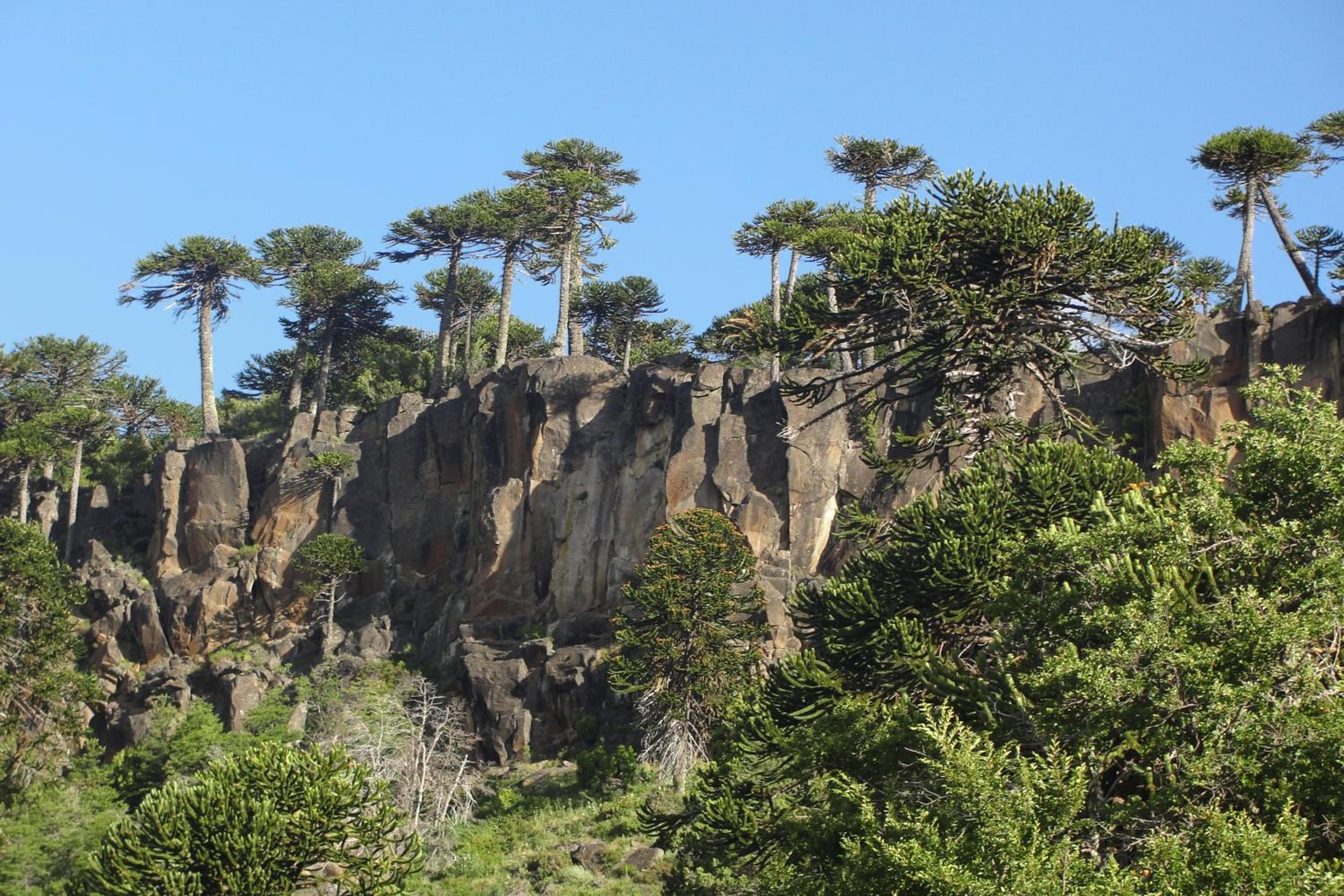 Paraiso de Montaña