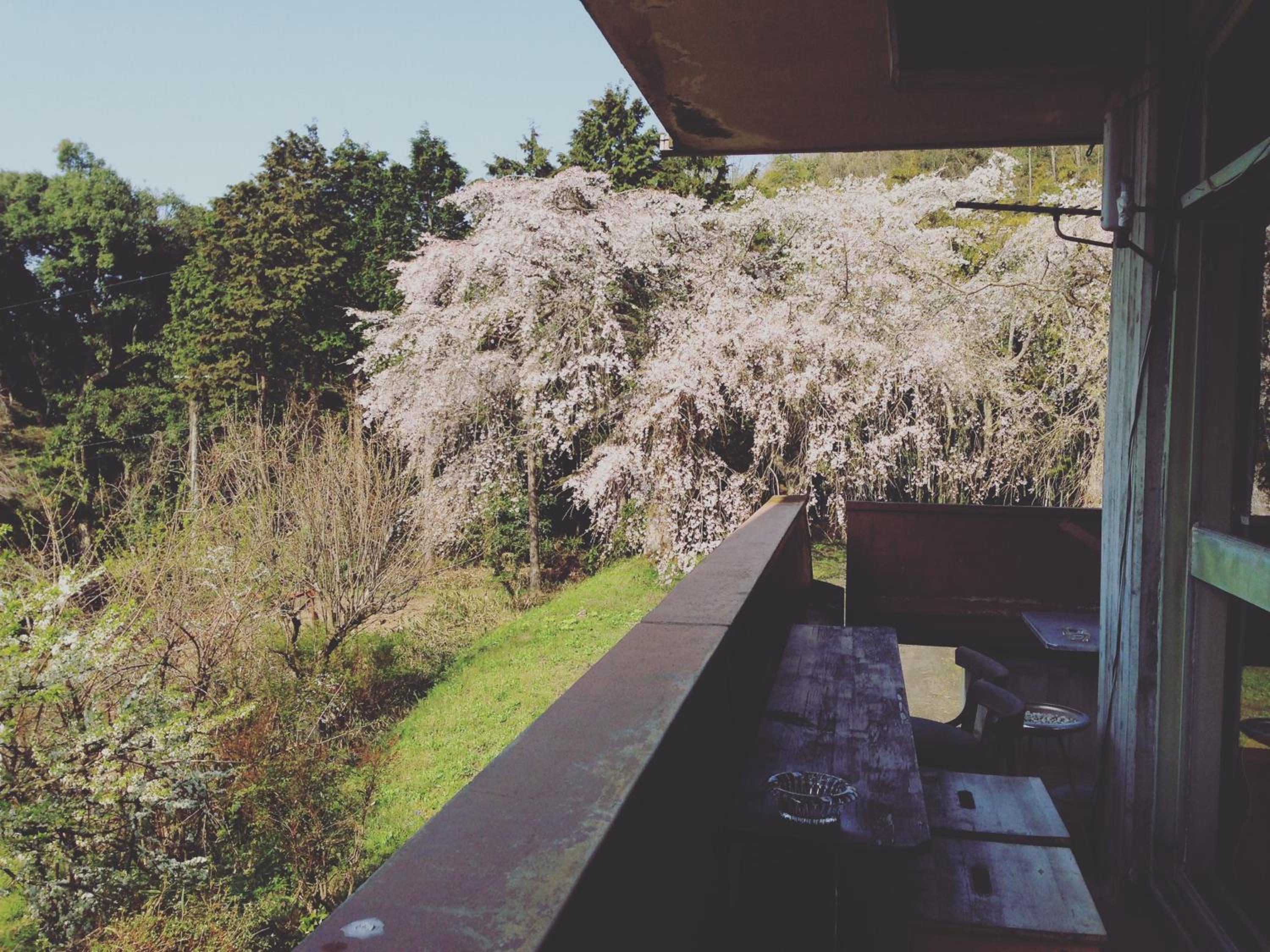 Amanohashidate Youth Hostel