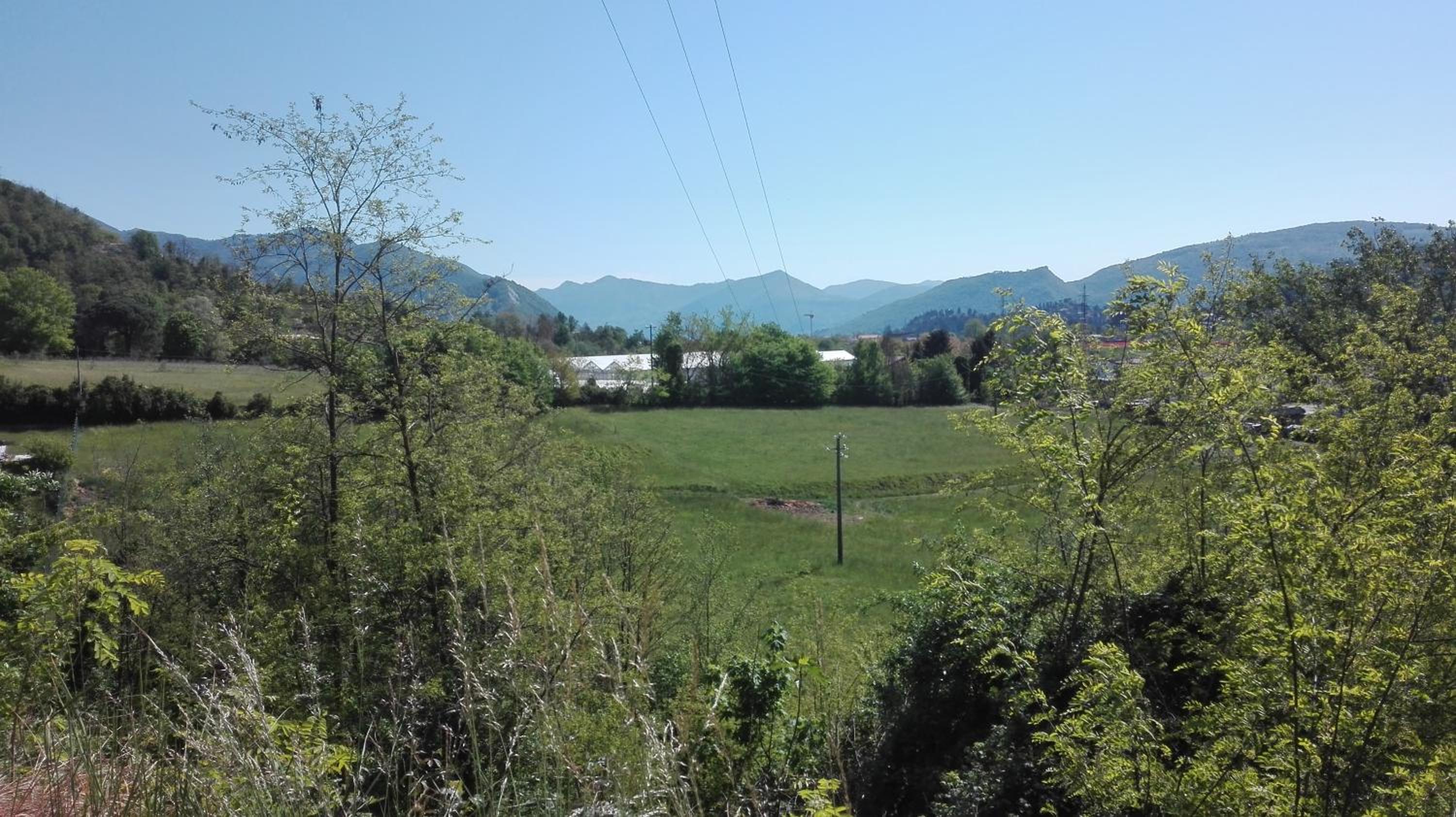 Photo 24
