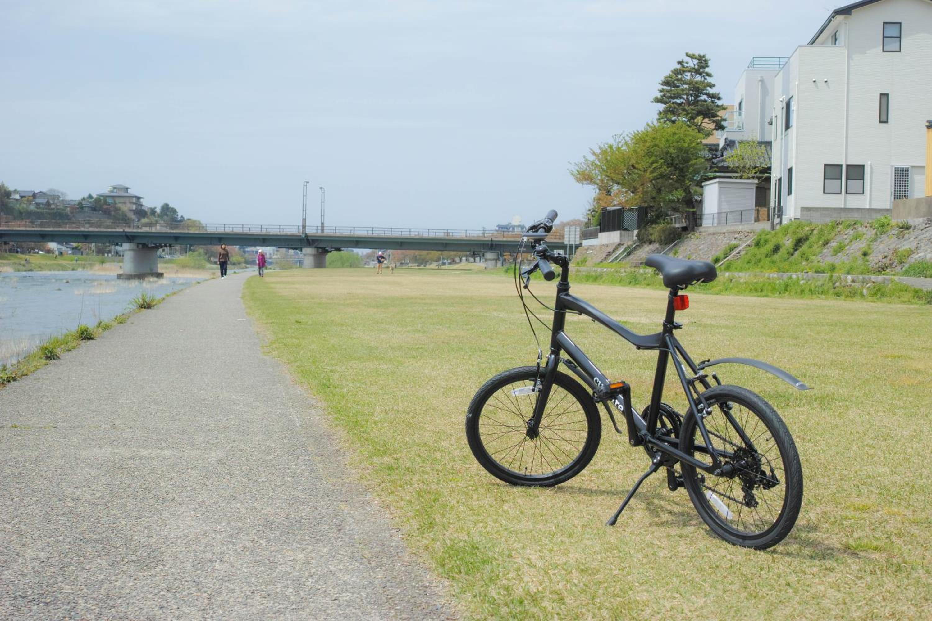 sararaso