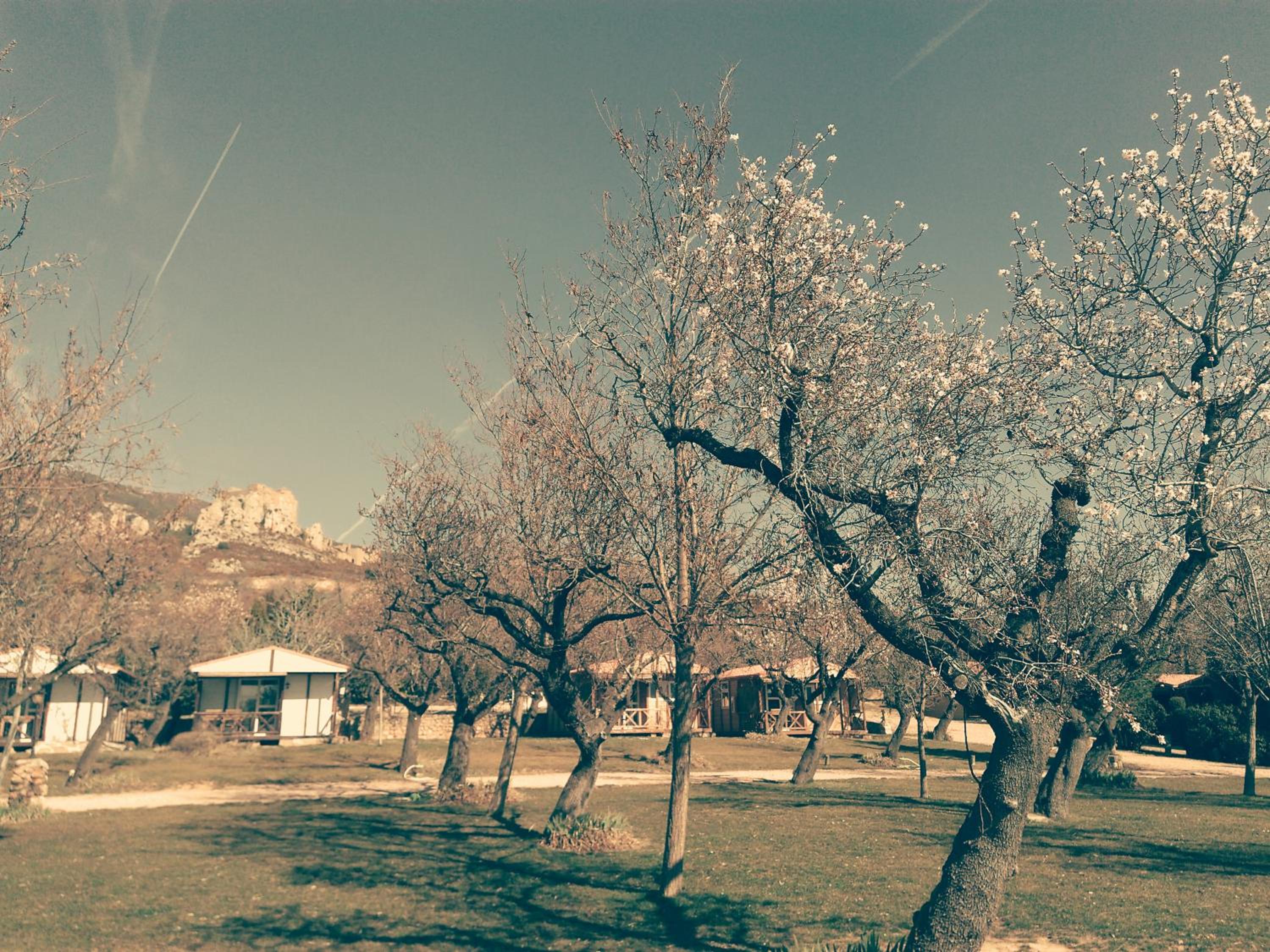 Camping Castillo de Loarre