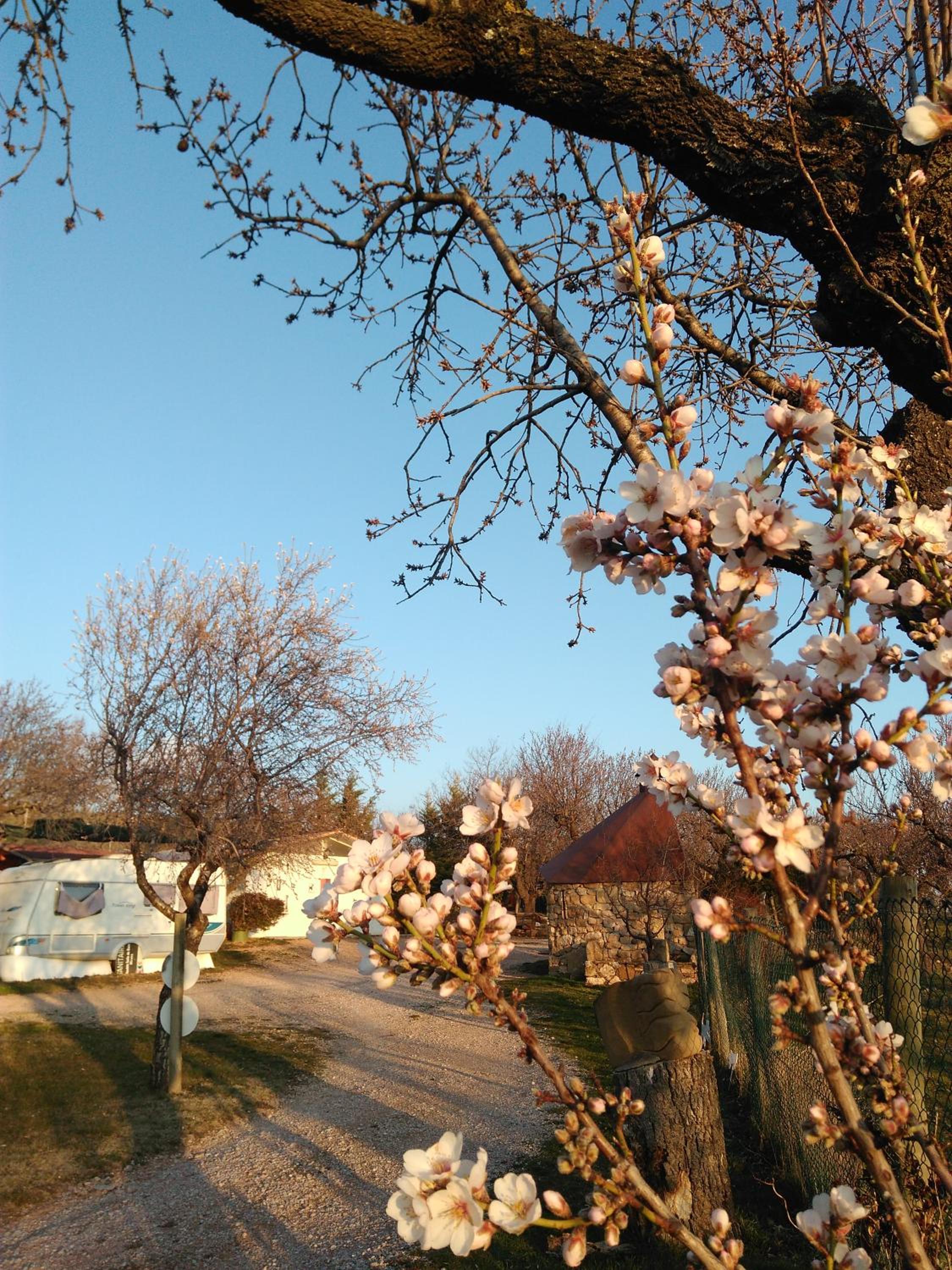 Camping Castillo de Loarre