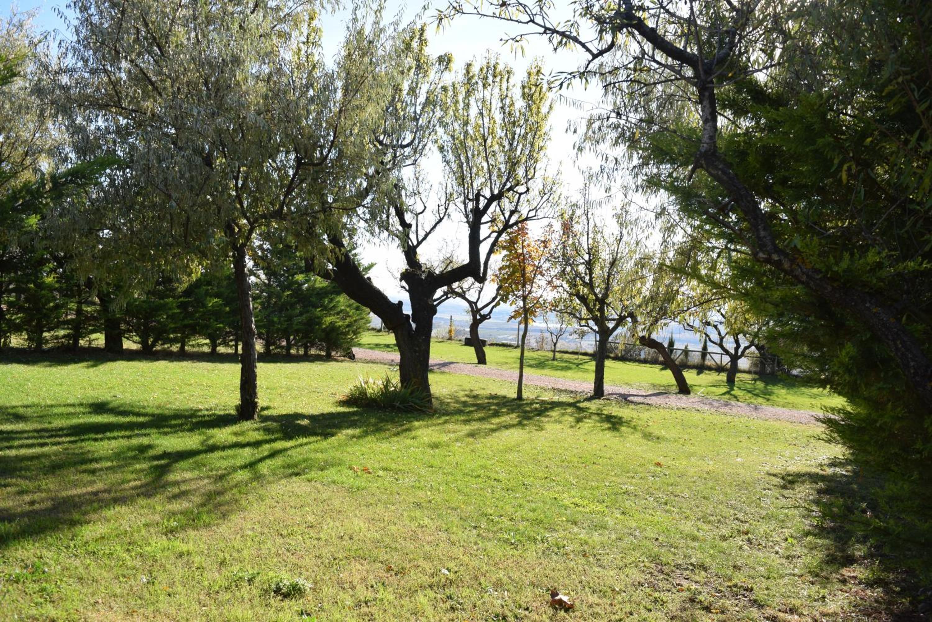 Camping Castillo de Loarre