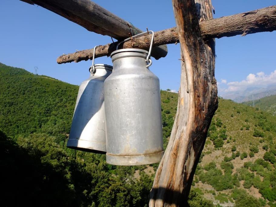 Les Bergeries "Le figuier" view 5