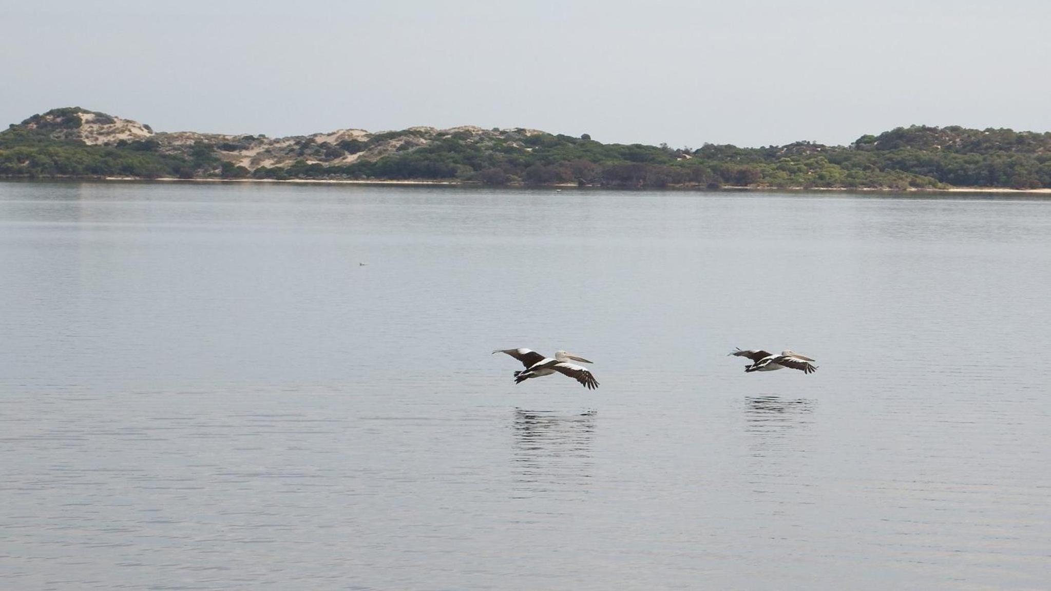 Australind Holiday Park