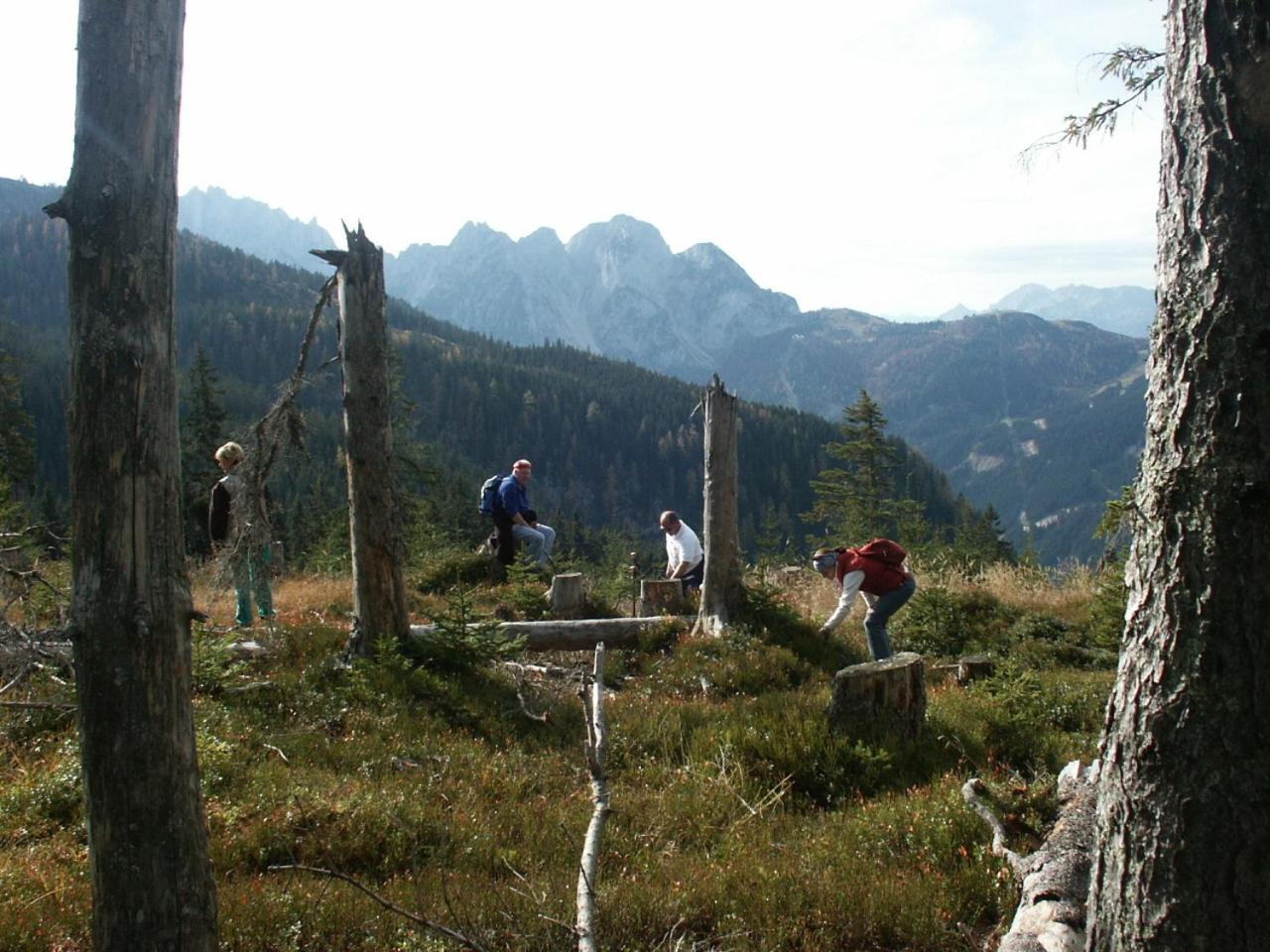 Alpenchalet Gosau