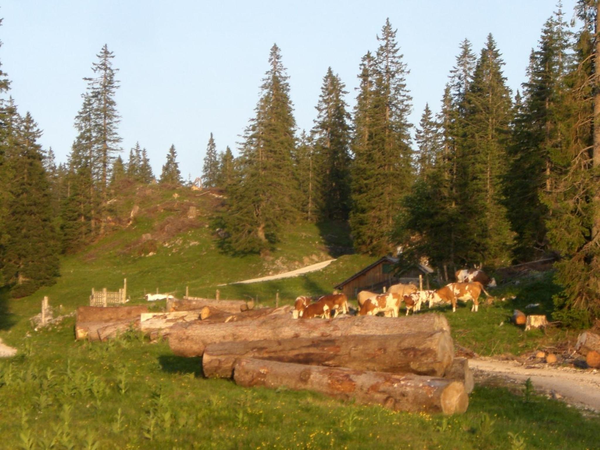 Alpenchalet Gosau