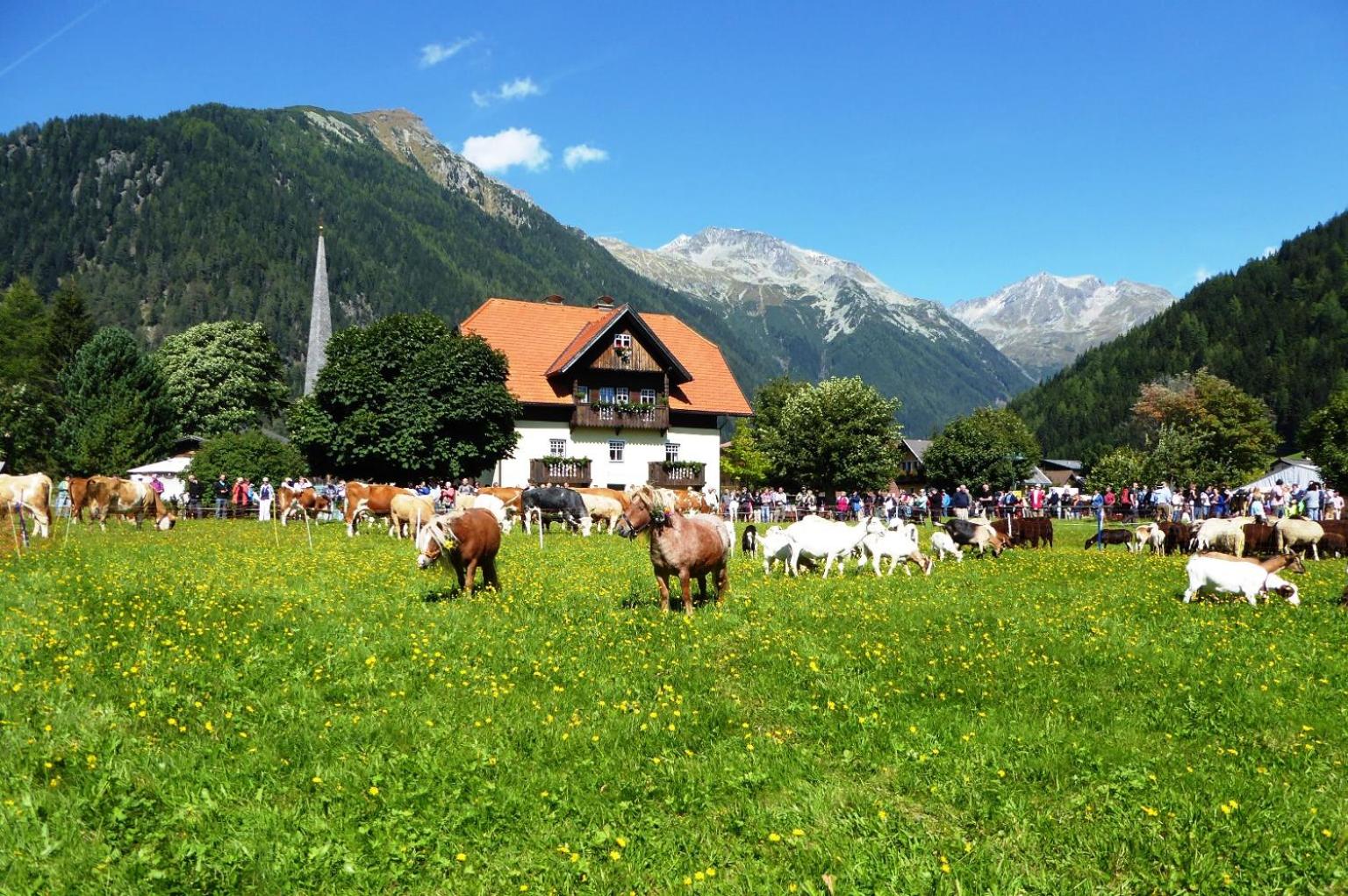 Gästehaus Truskaller