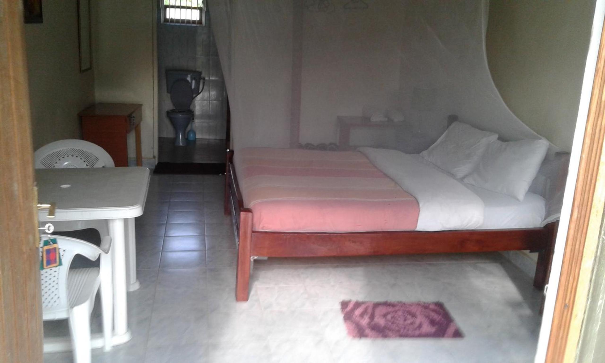 Cactus Eco Camp and Lodge