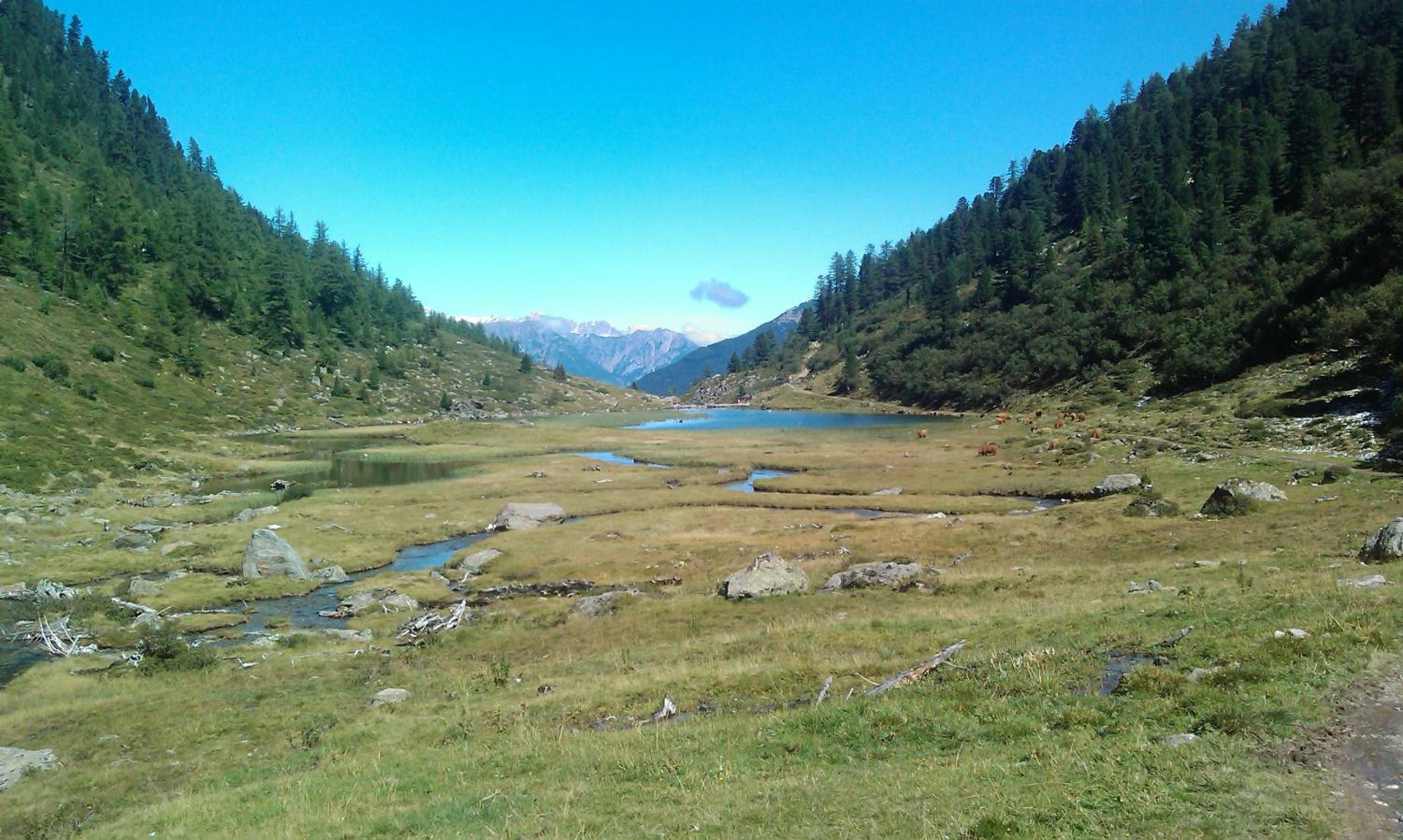 Photo 23