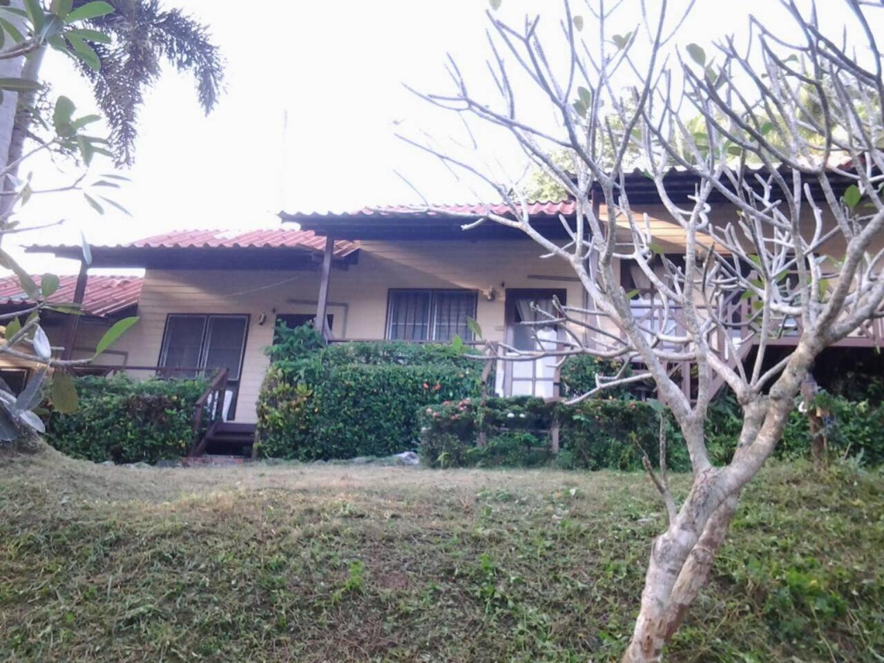 Tropical Garden Bungalow