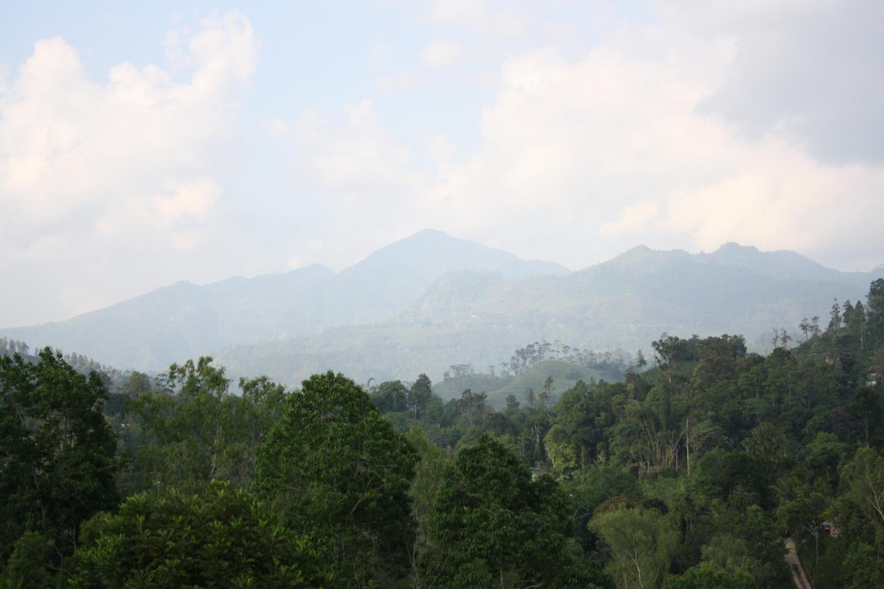 Ella Jayamali Homestay
