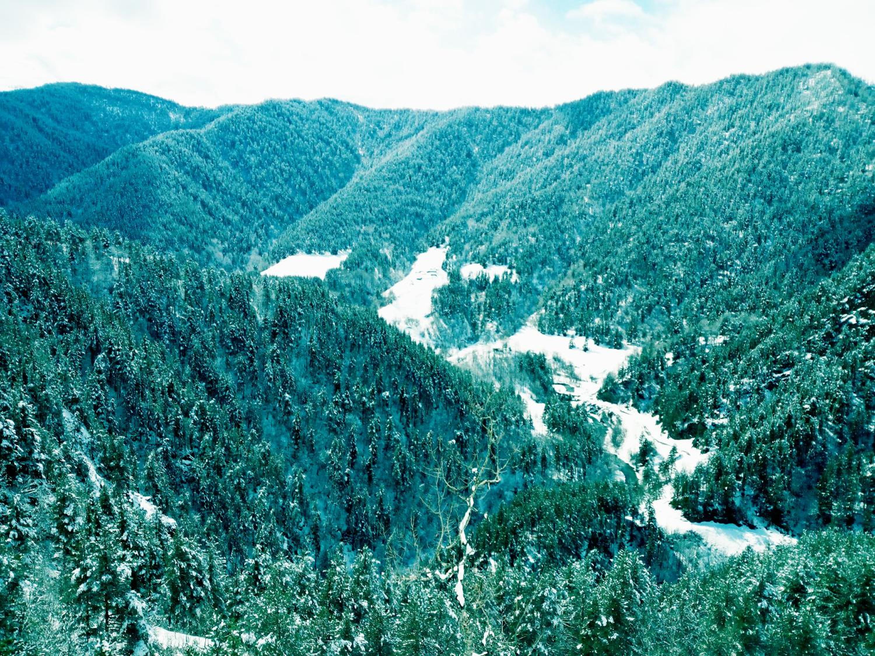 Photo 43