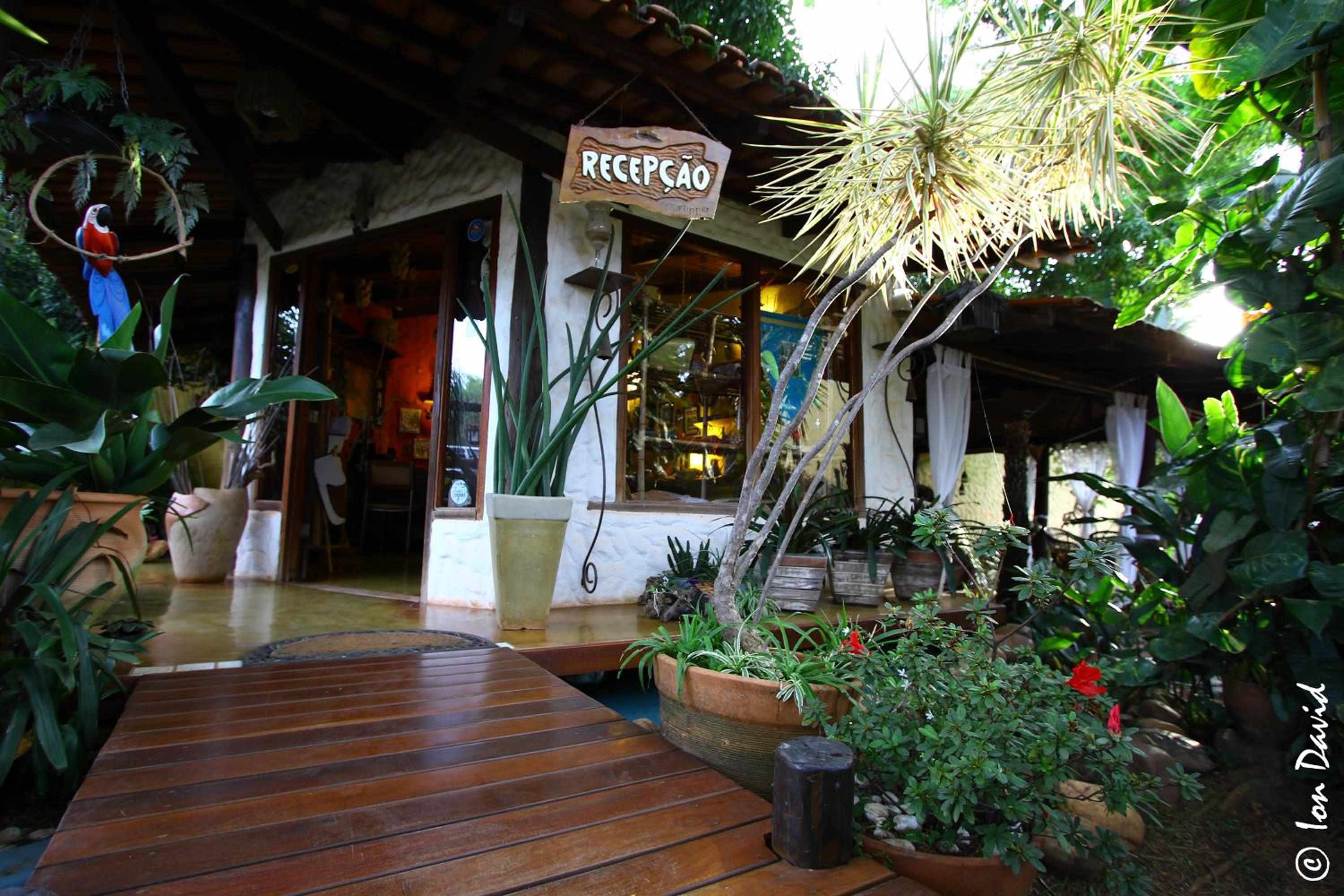 Pousada Bambu Brasil view 4