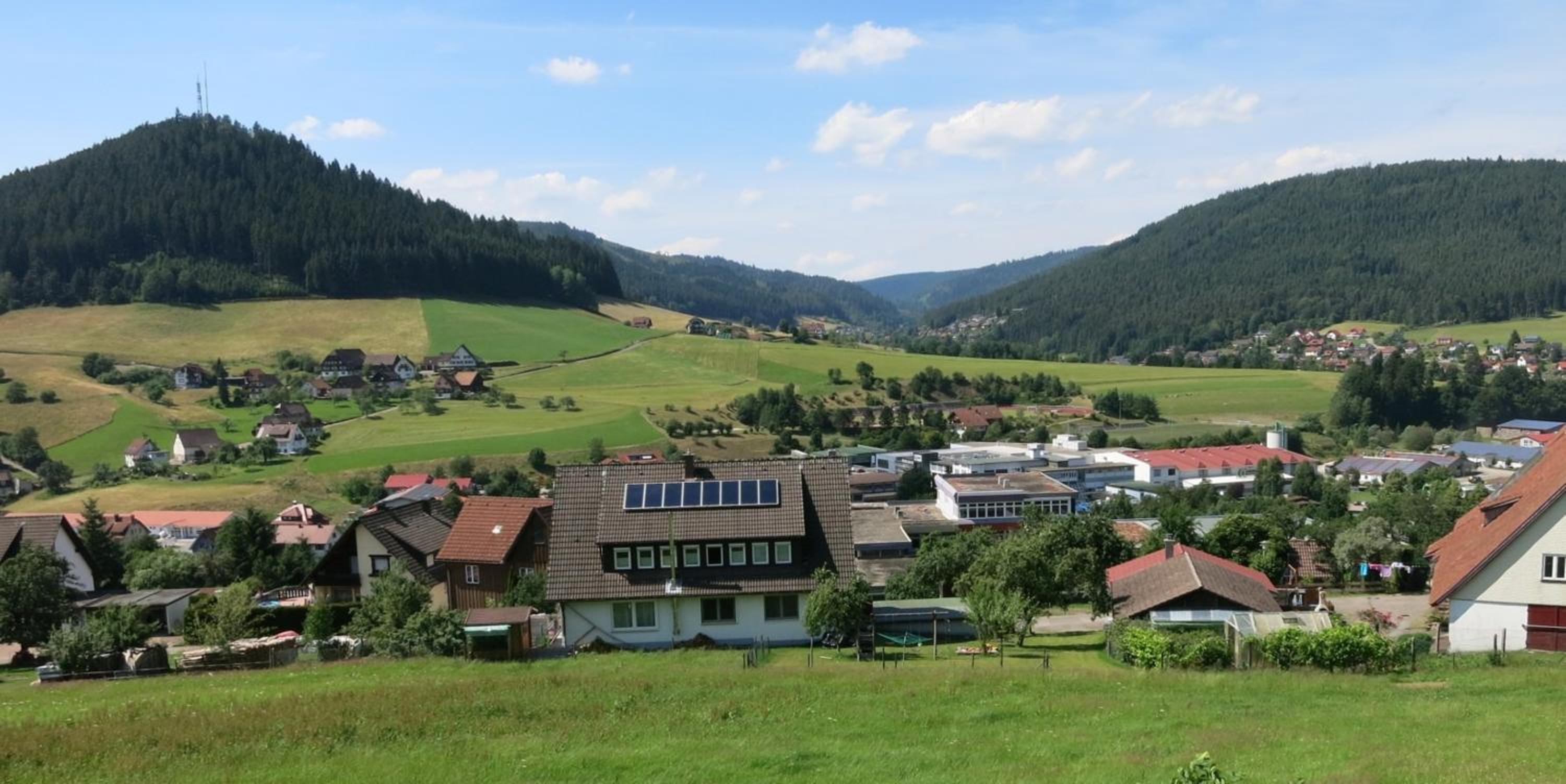 other