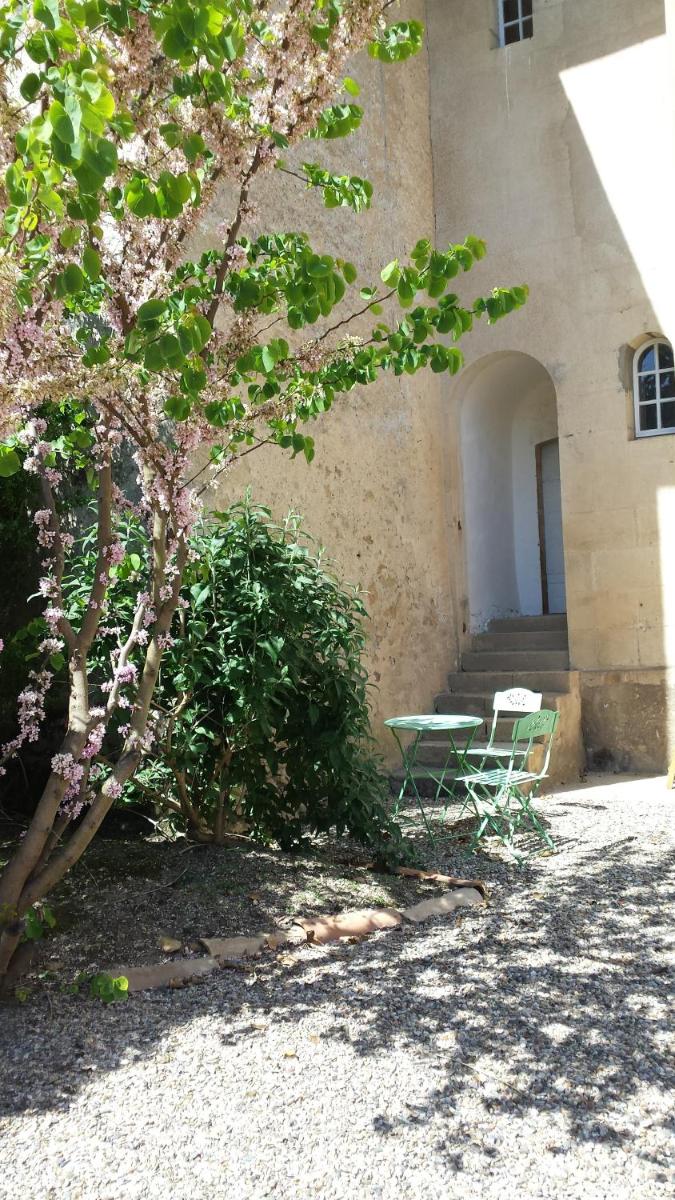 Le Petit Carpia view 4