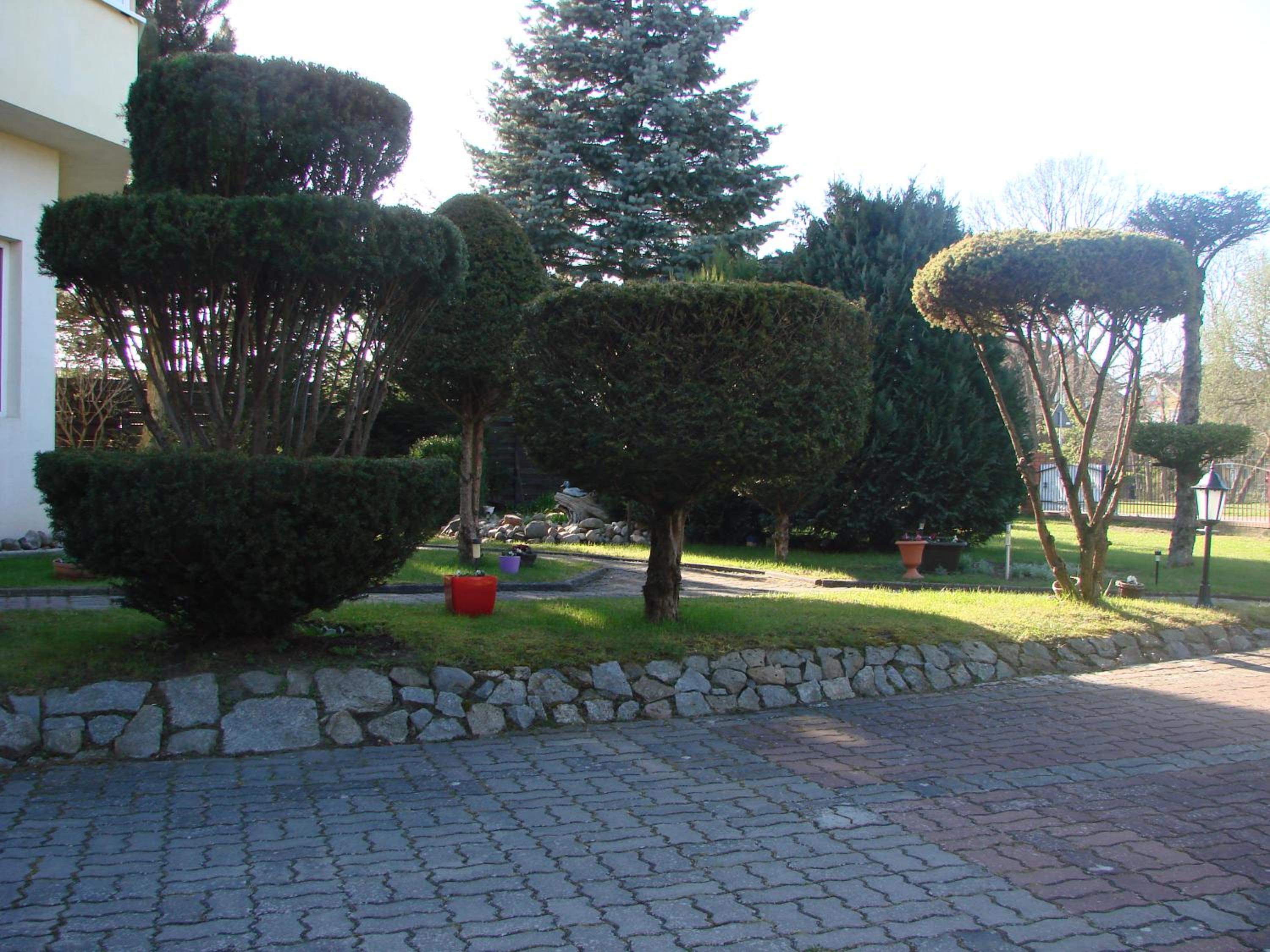 Photo 34