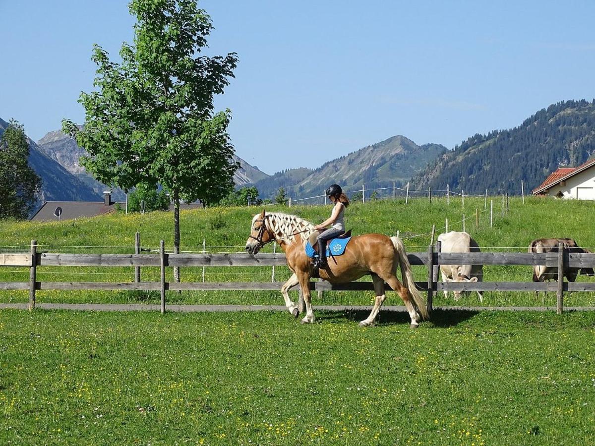 Haflingerhof - Oberjoch