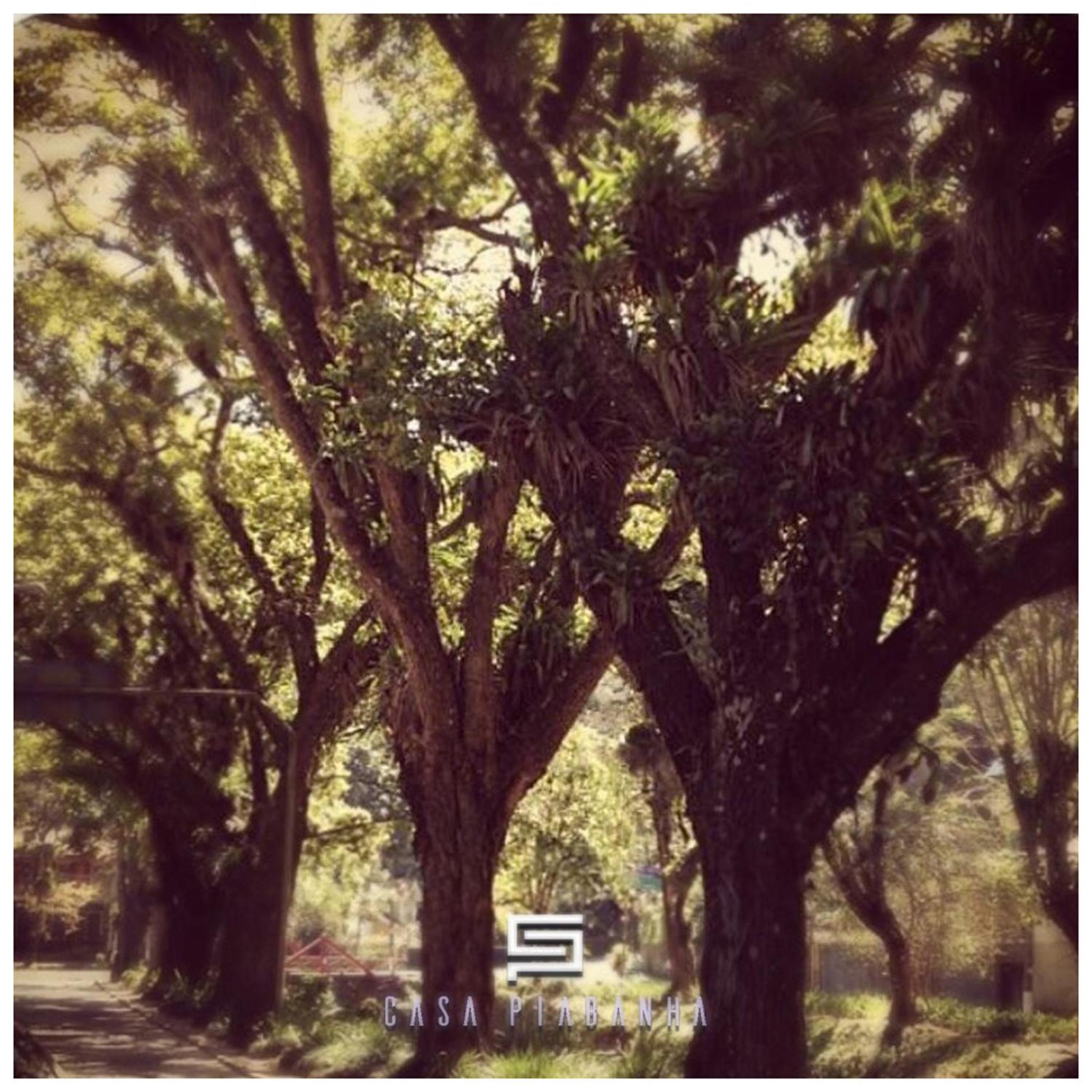 Casa Piabanha - Centro Histórico
