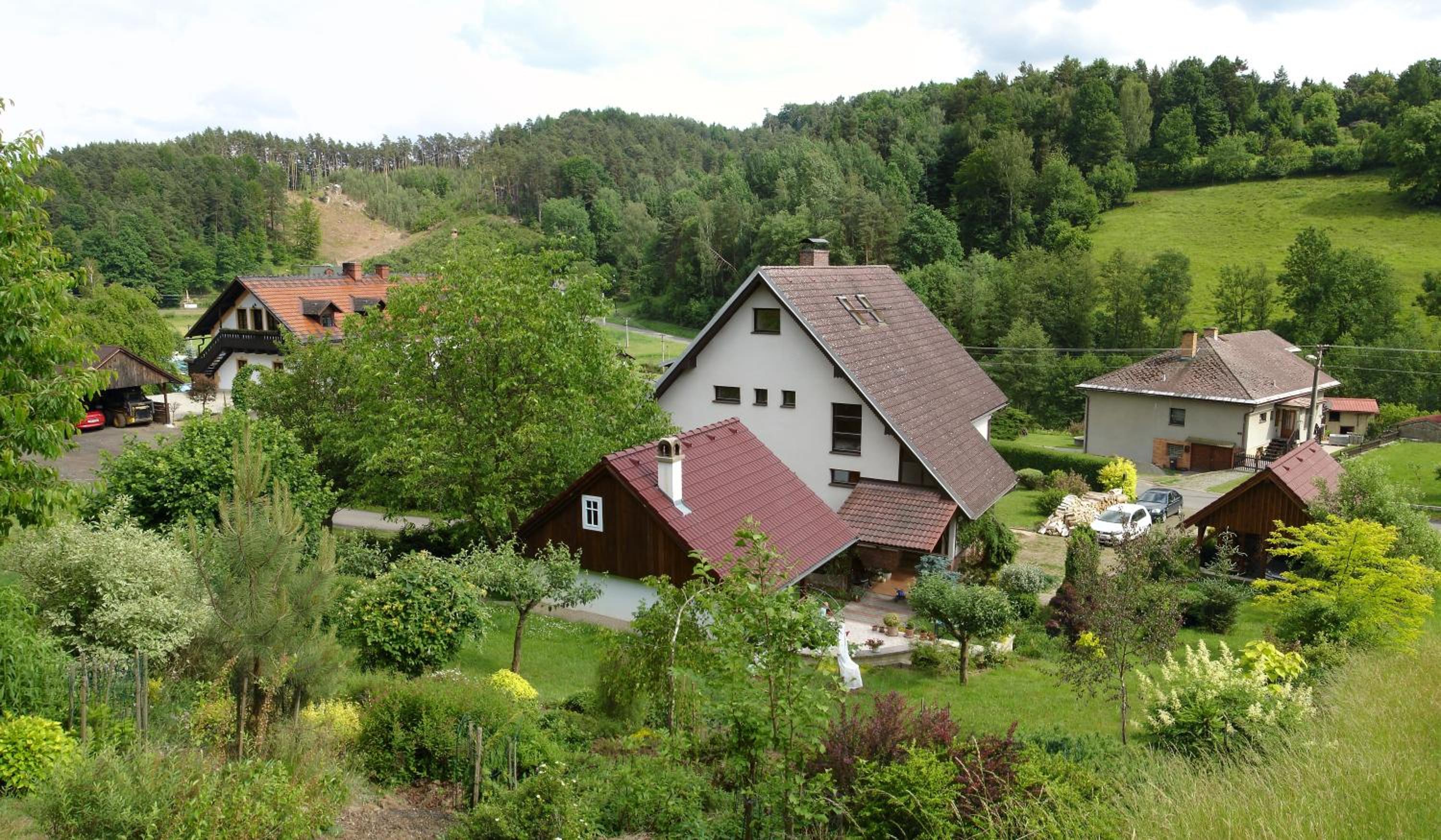 Photo 12