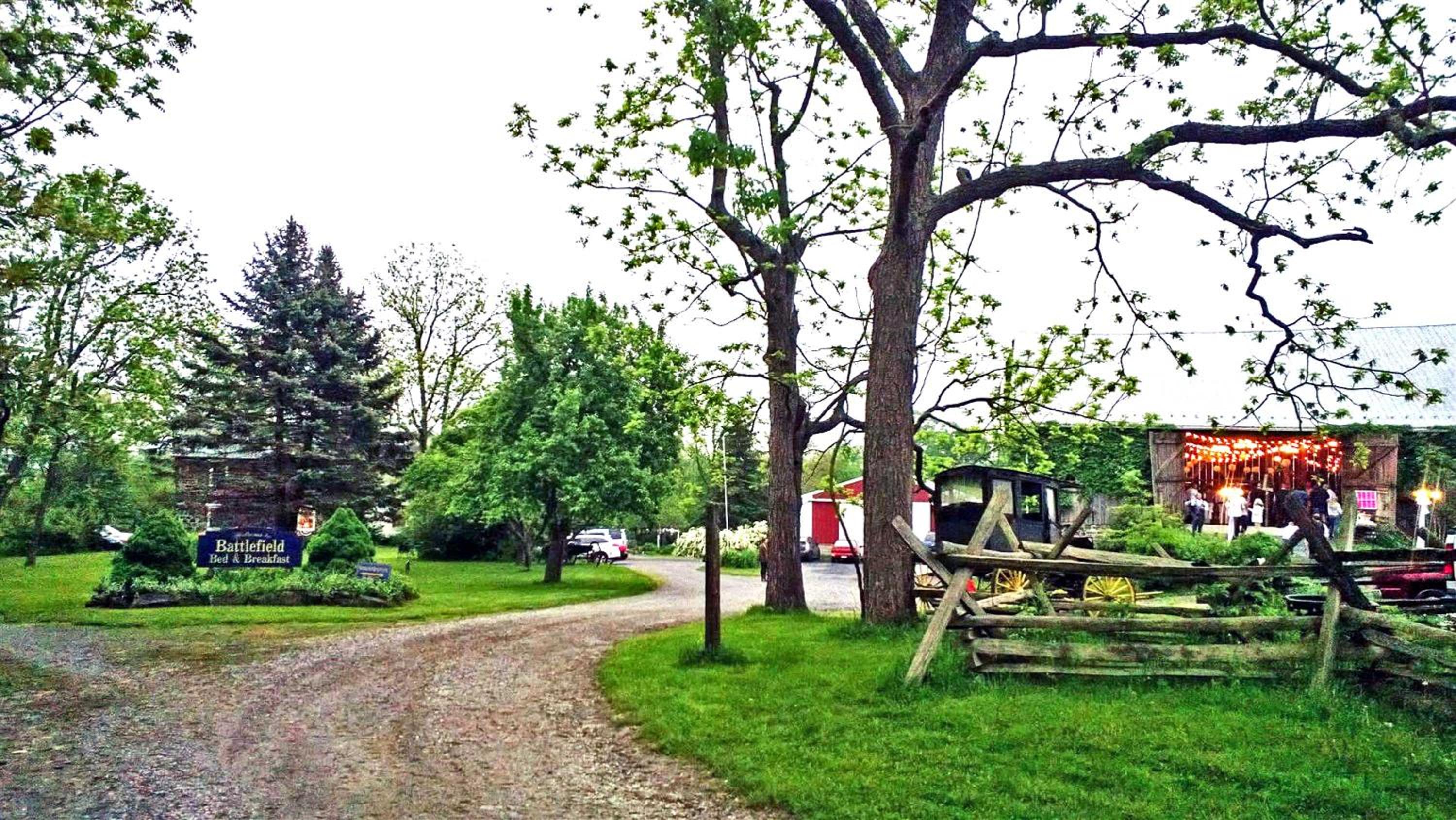 Photo 8